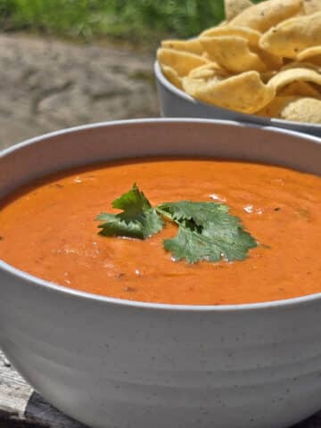 A bowl of hot cheddar queso dip with cilantro on top.