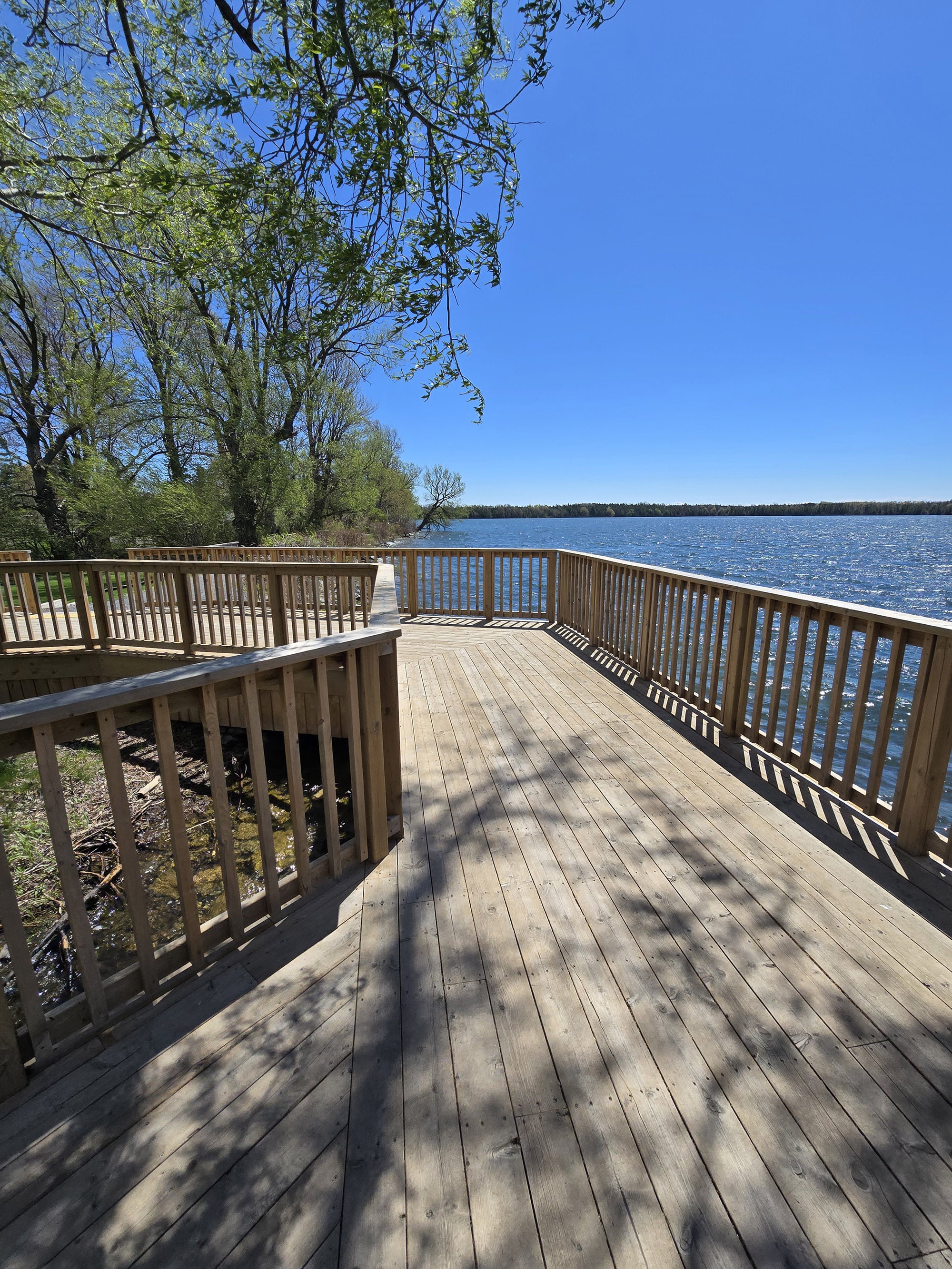 A wooden viewing platform deck on the side of Lake on the Mountain Provincial Park.
