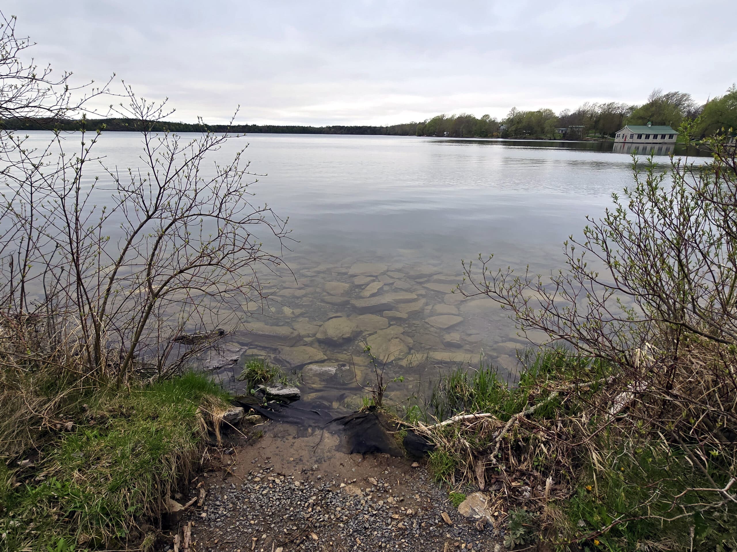 A large lake, as viewed from shore.
