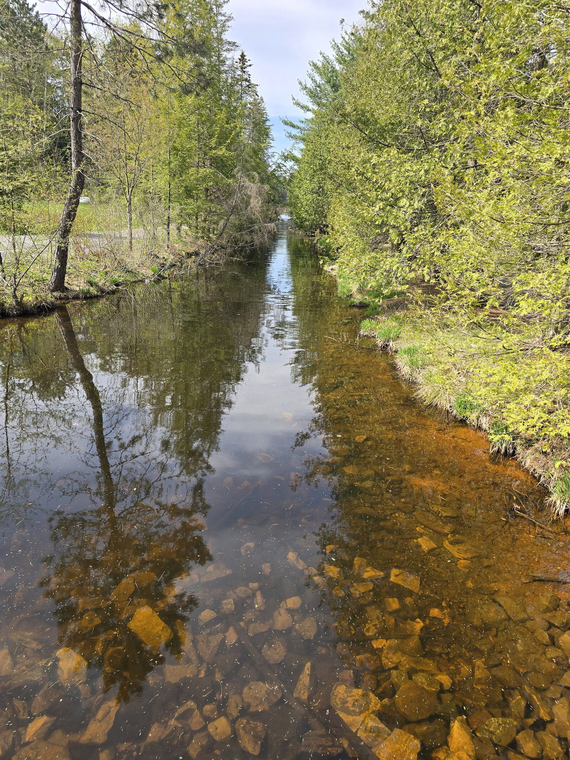 The Boyne River in Oastler Lake Provincial Park.