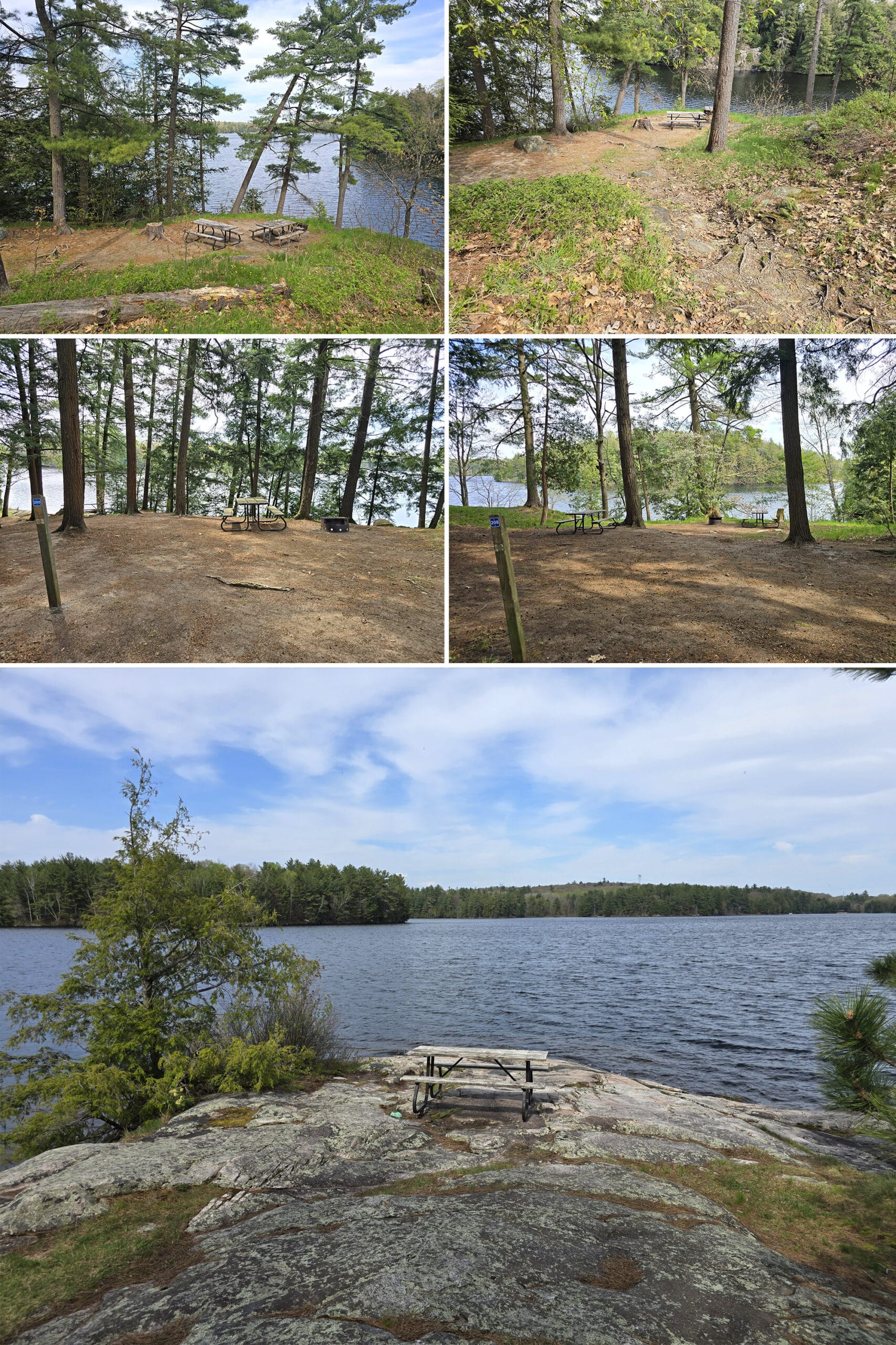 5 part image showing various waterfront campsites in the point campground at Oastler Lake Provincial Park.