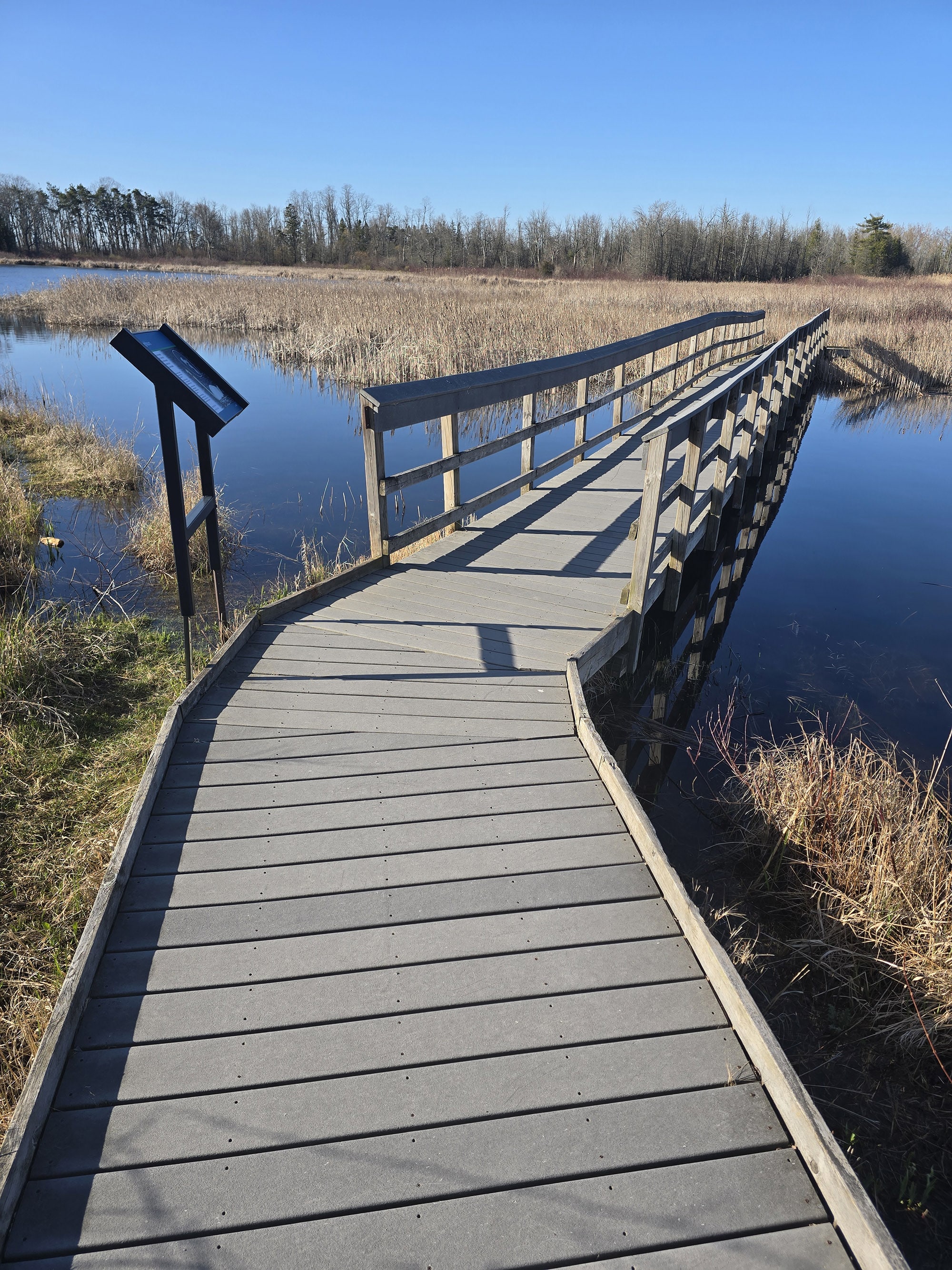 A wooden boardwalk over a marsh at Presqu’ile Provincial Park.