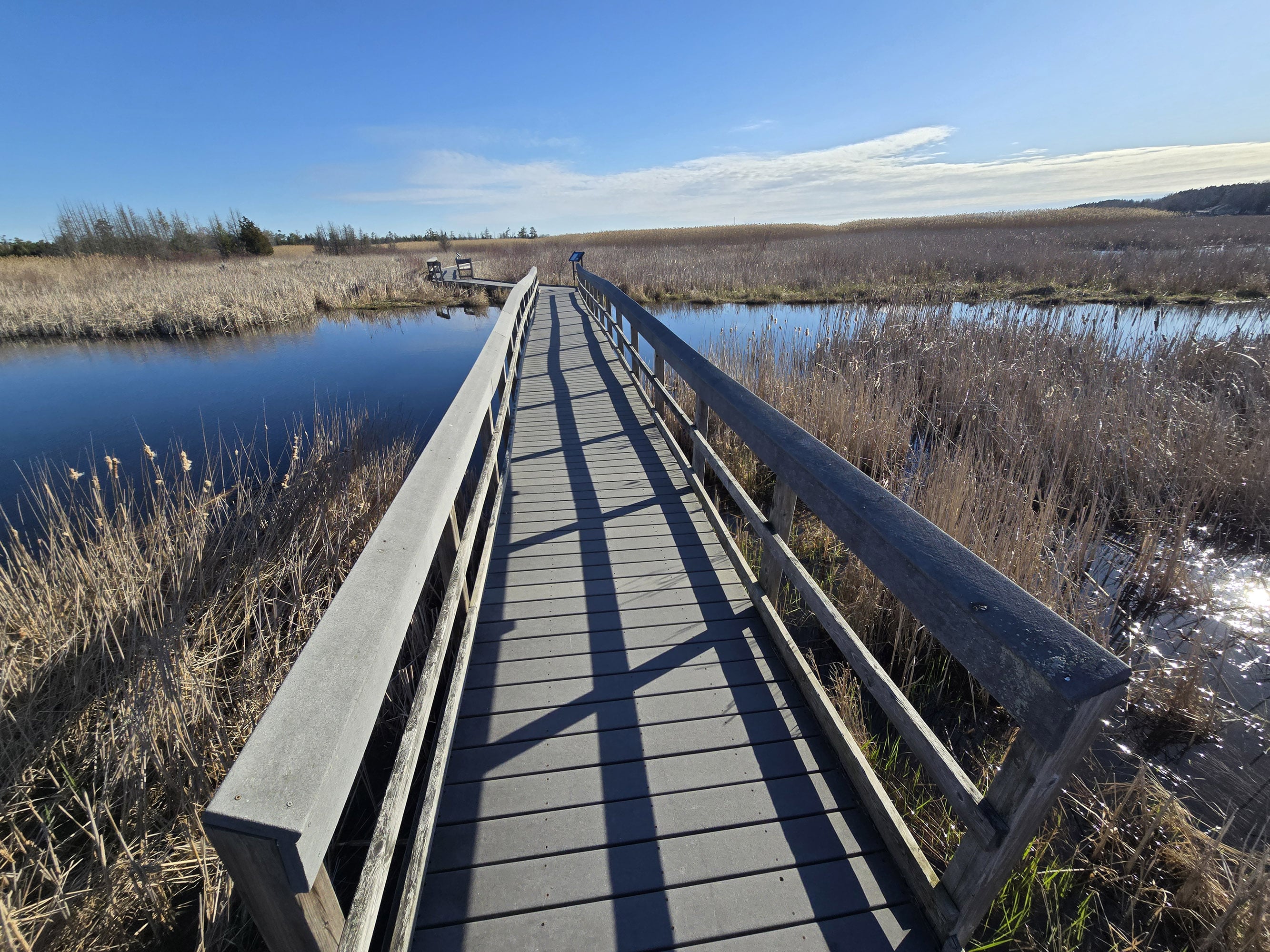 A boardwalk extending over marsh at Presqu’ile Provincial Park.
