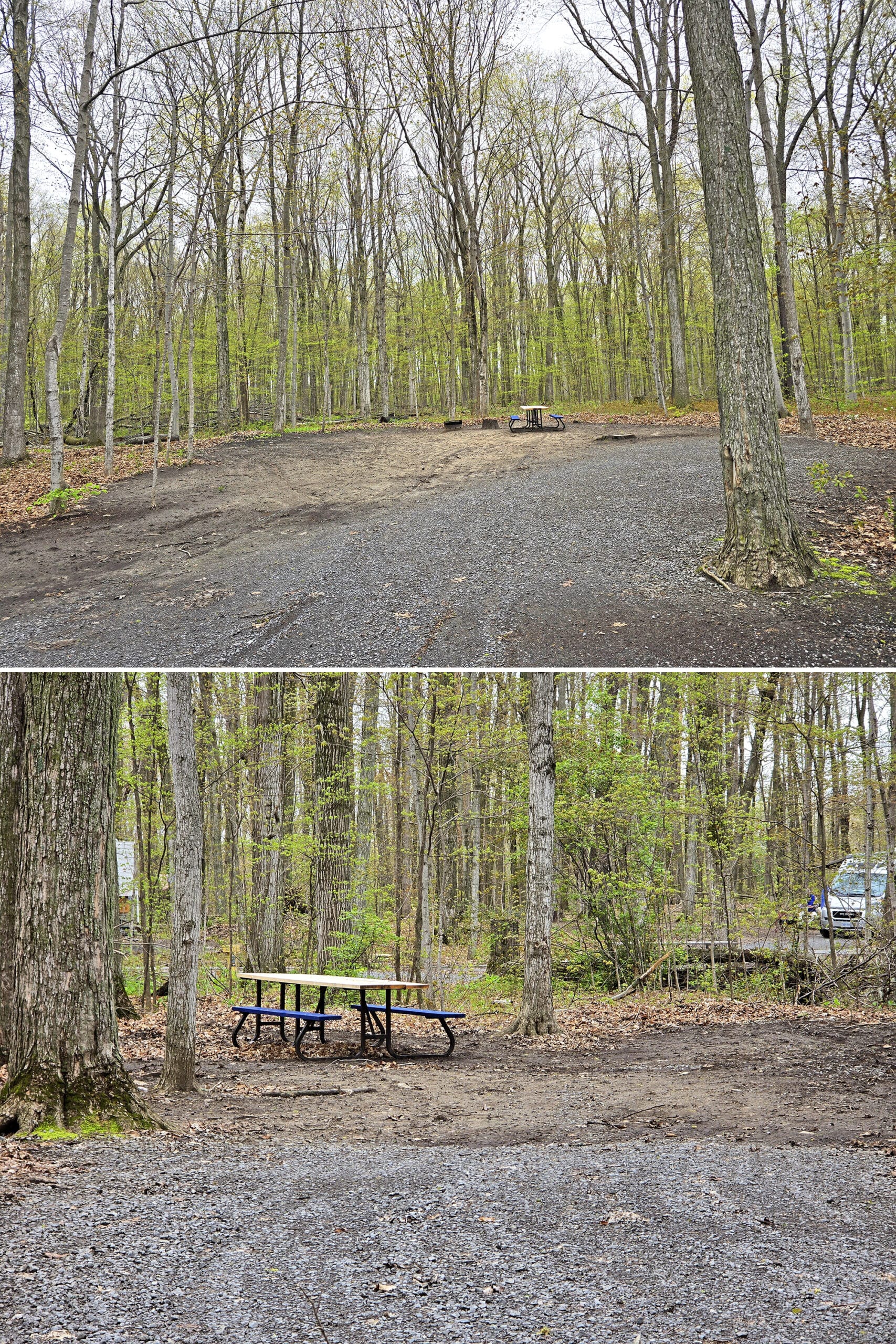 2 part image showing 2 barrier free campsites at sandbanks provincial park.
