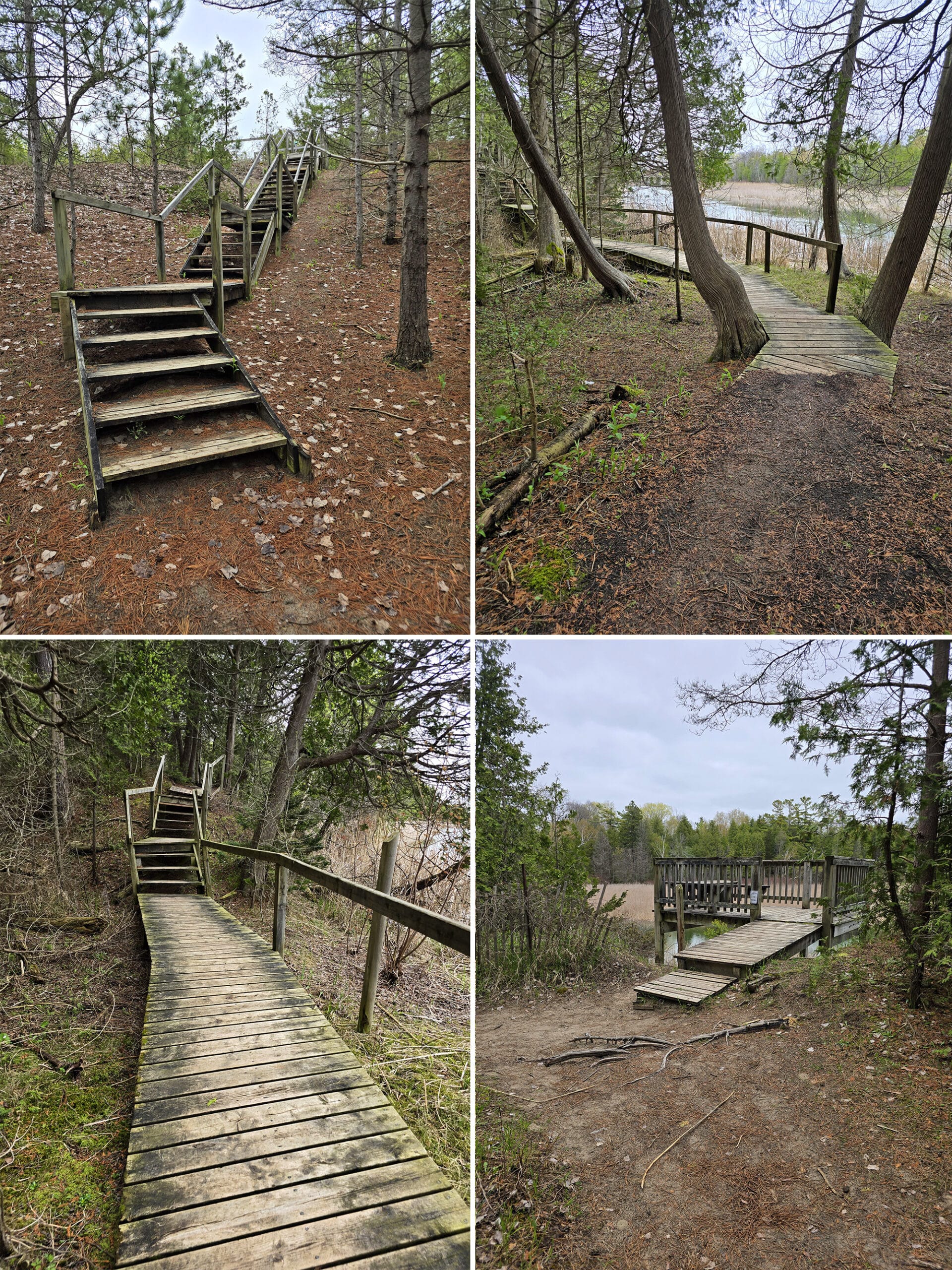 4 part image showing various views along the cedar sands trail in sandbanks provincial park.
