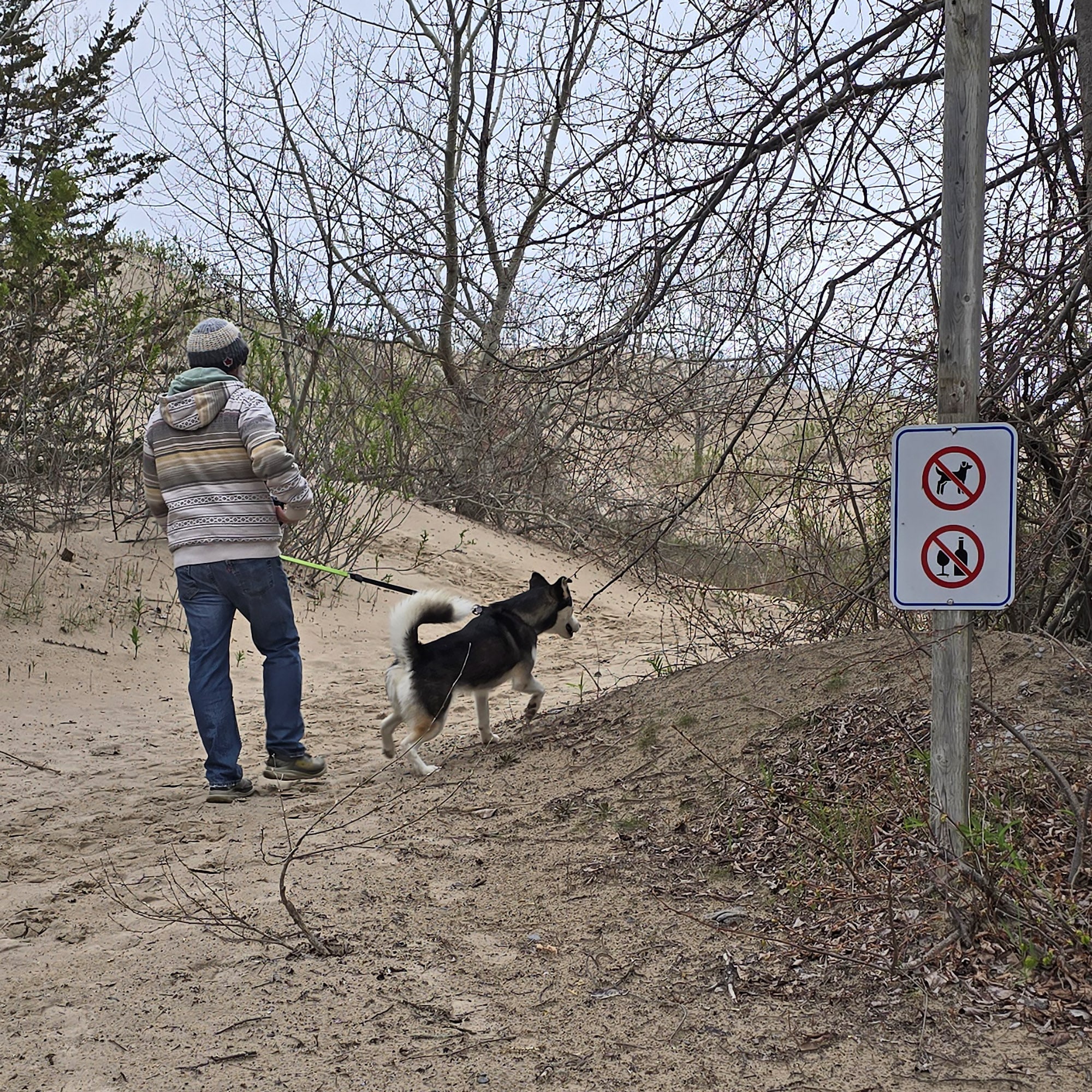 A an walking a dog onto a trail that has a no dogs sign.