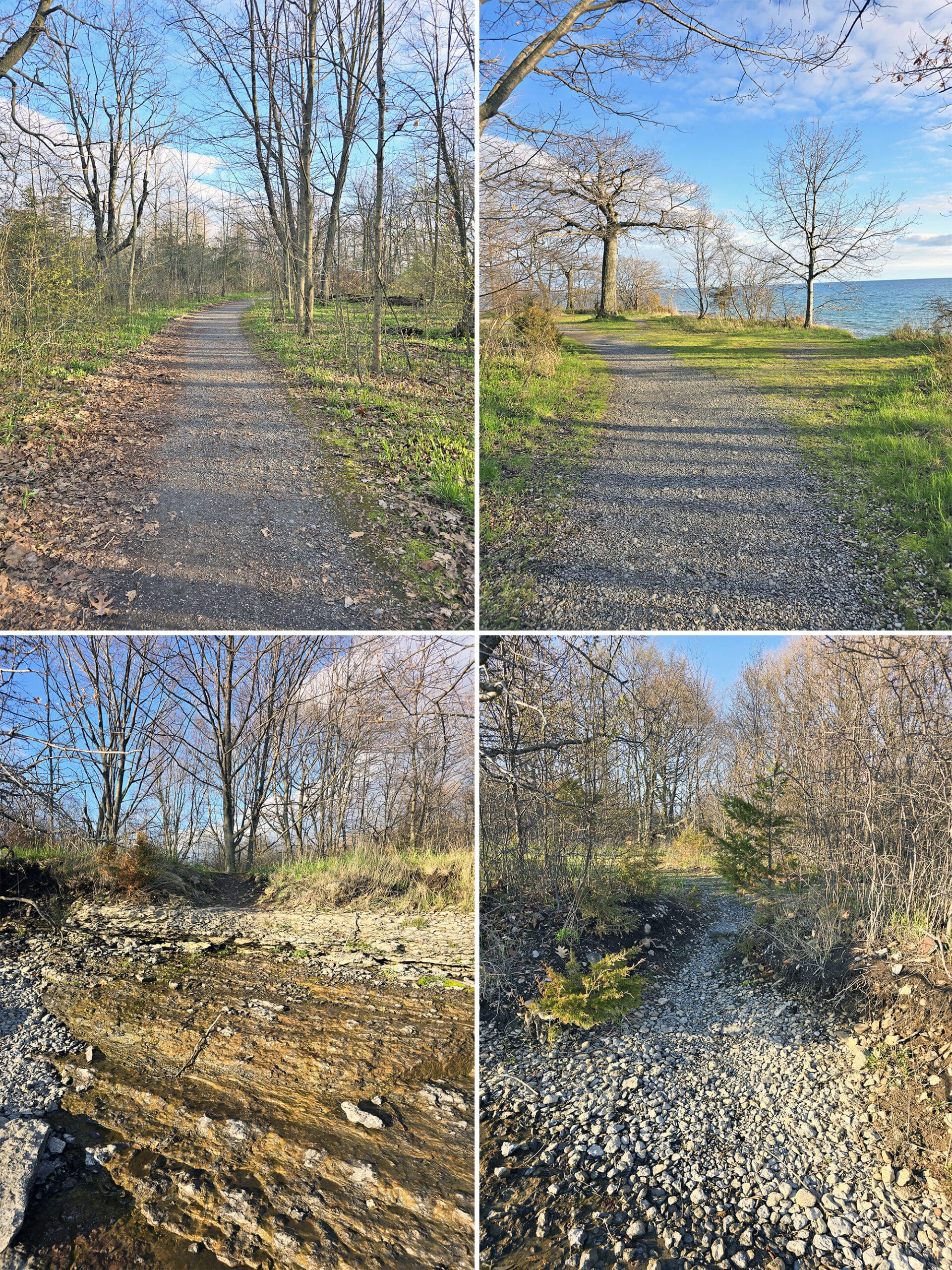 4 part image showing various views of the lakeview trail at sandbanks provincial park.