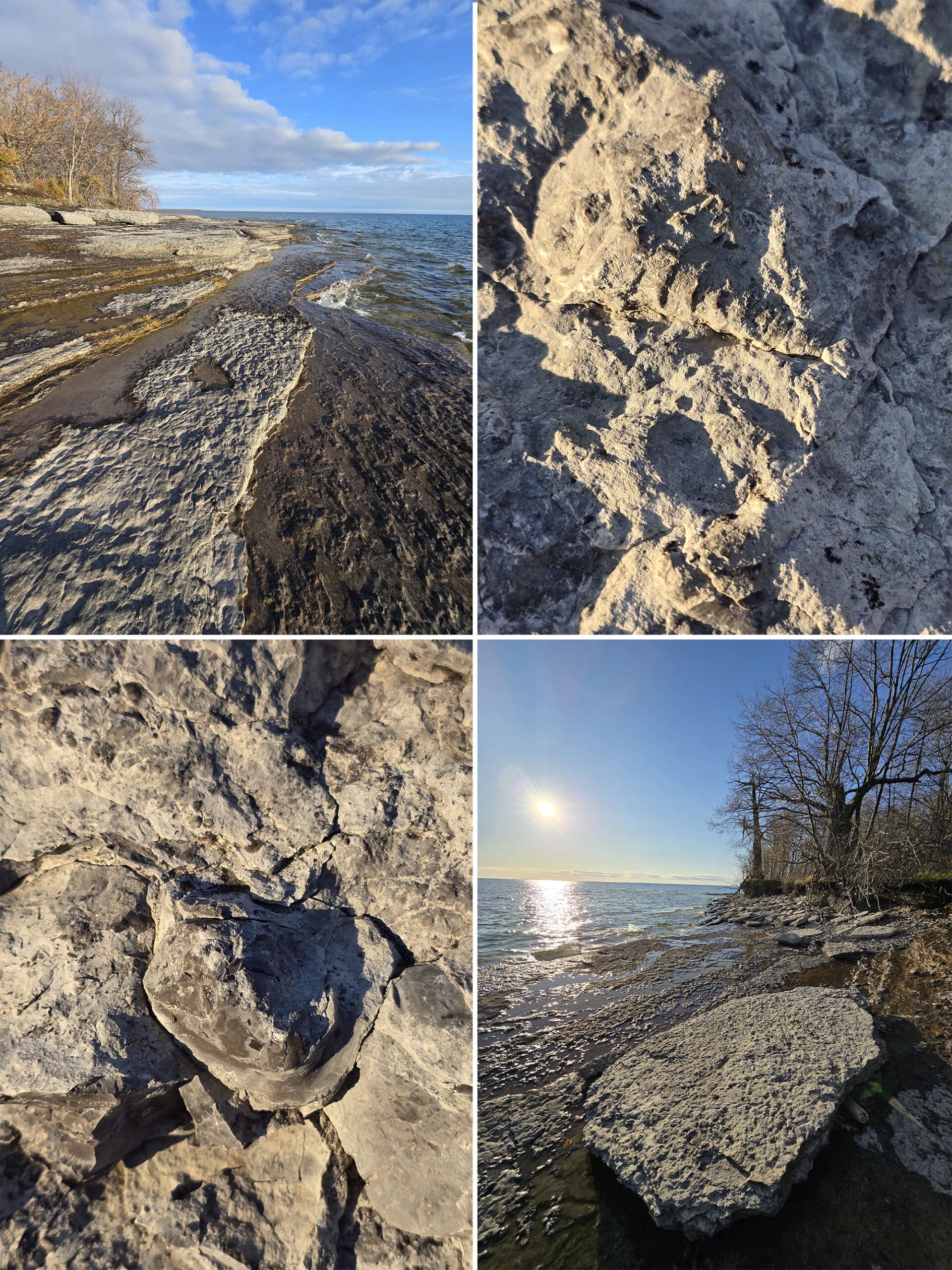 4 part image showing various views of the west point fossils area at sandbanks provincial park.