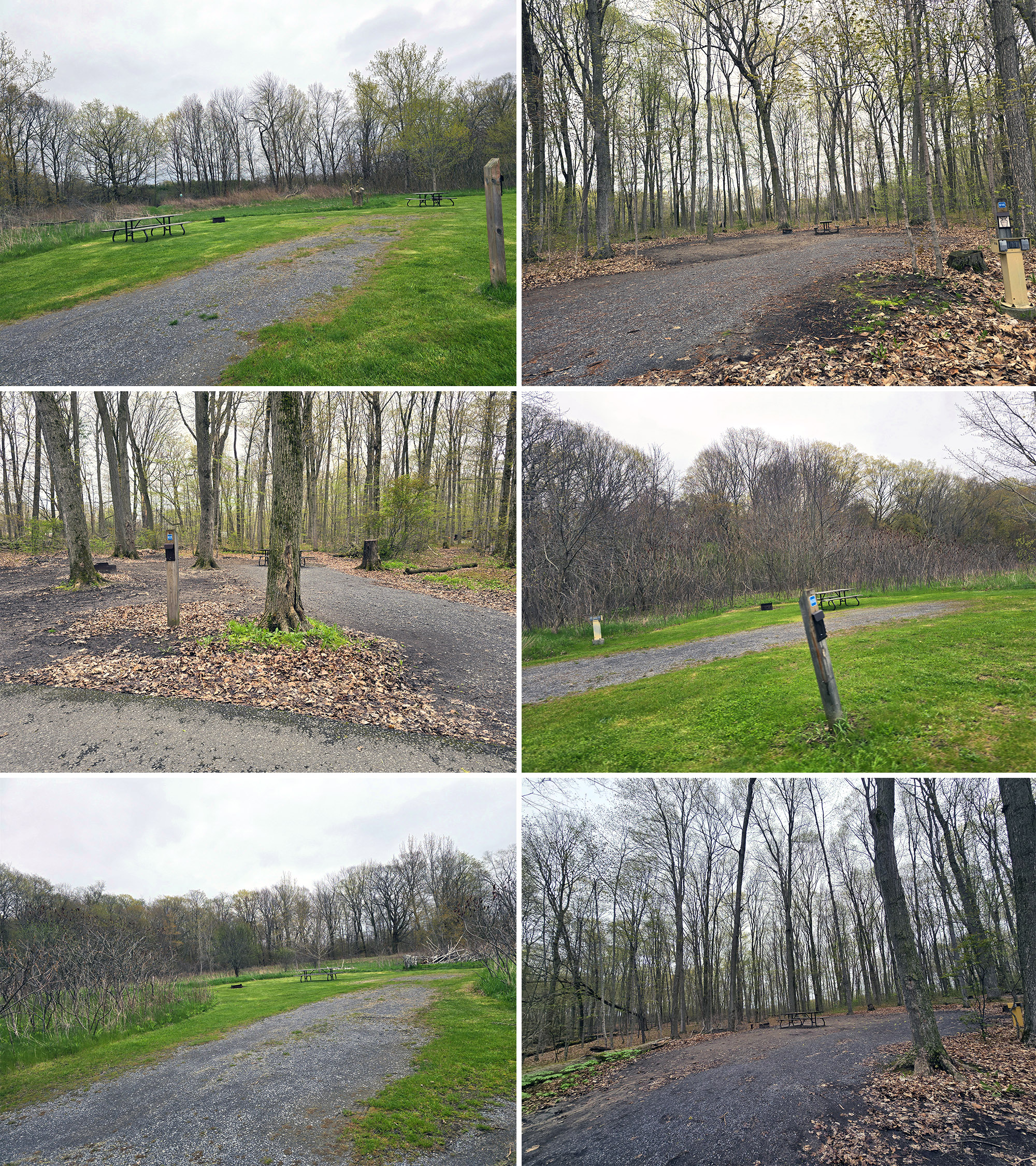 8 part image showing various campsites in the woodlands campground at sandbanks provincial park.