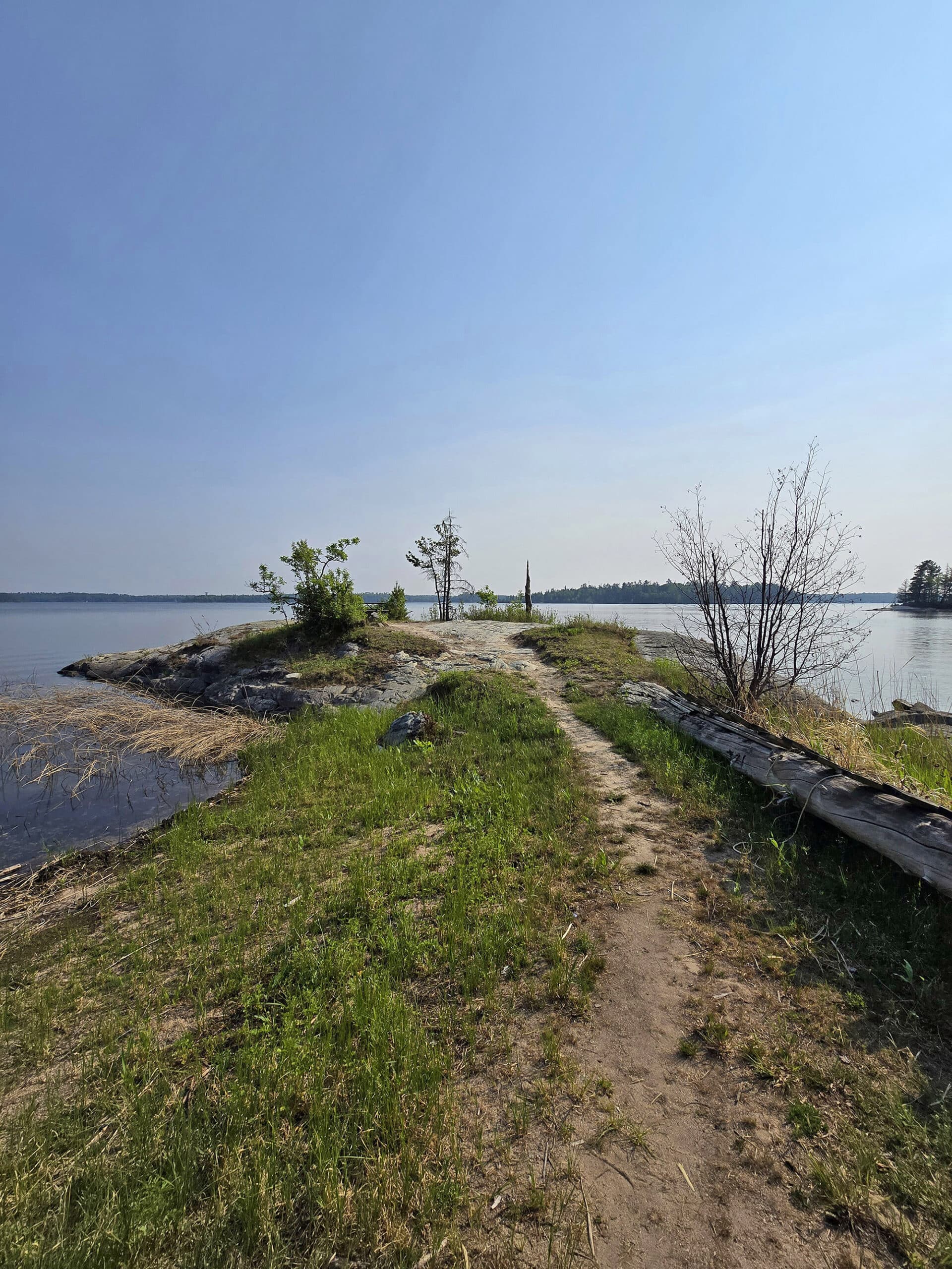 A rustic peninsular campsite on lake of the woods.