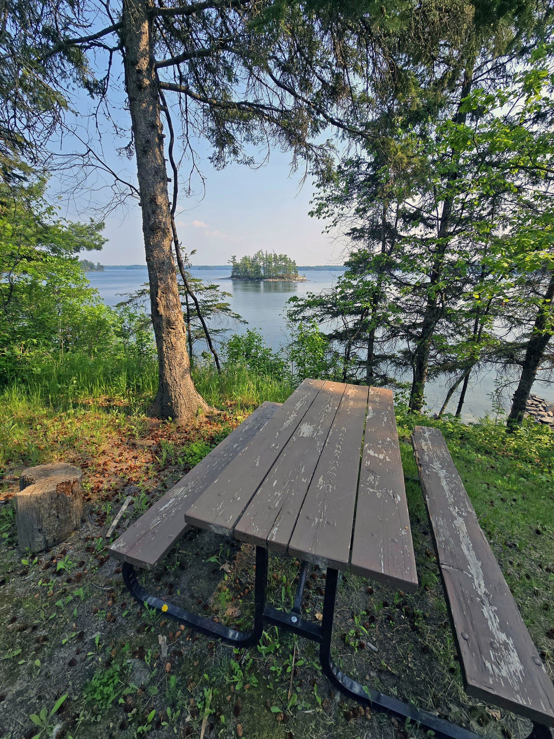A sioux narrows campsite overlooking lake of the woods.