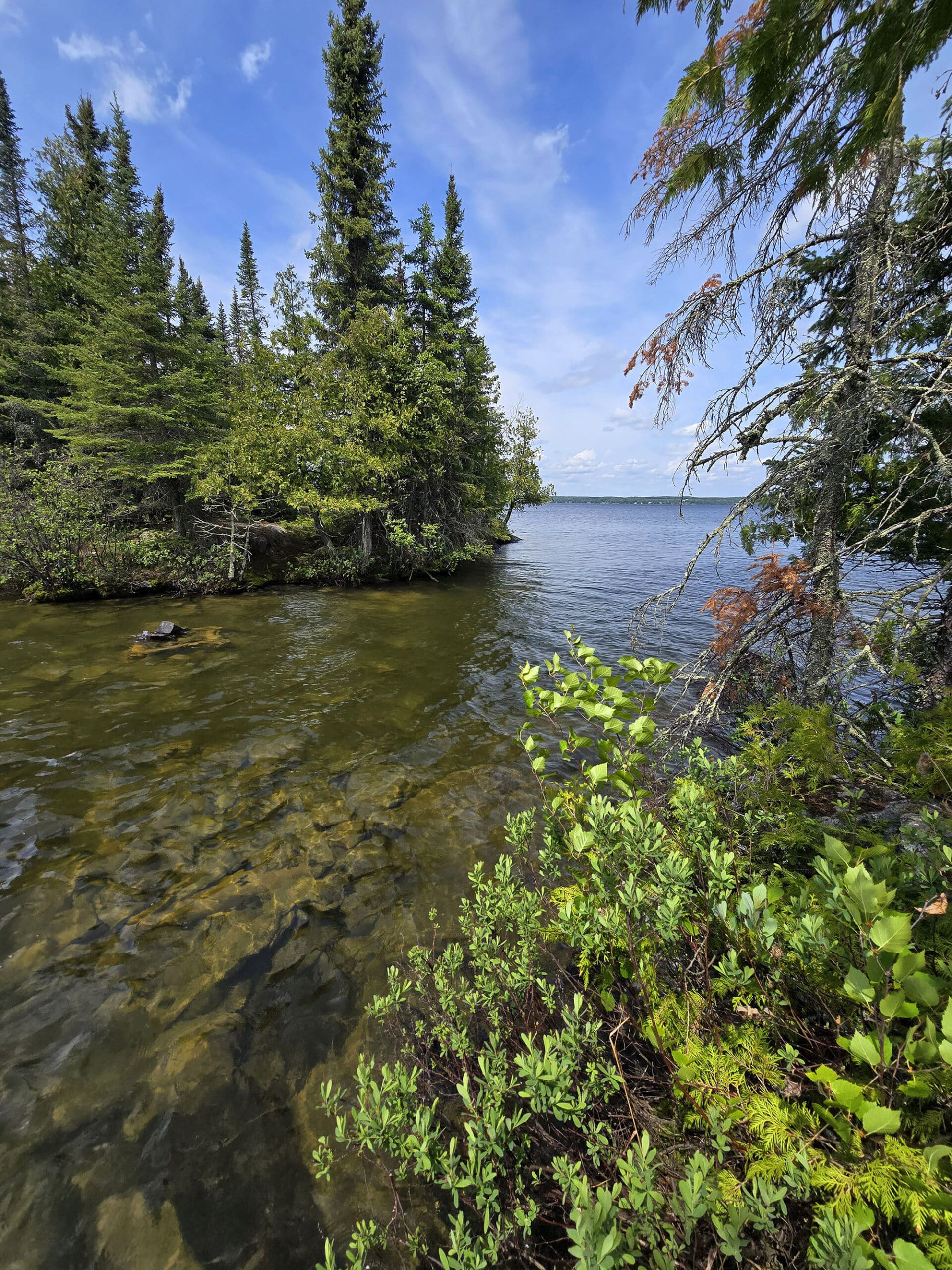 A view over Thunder Lake at Aaron Provincial Park.