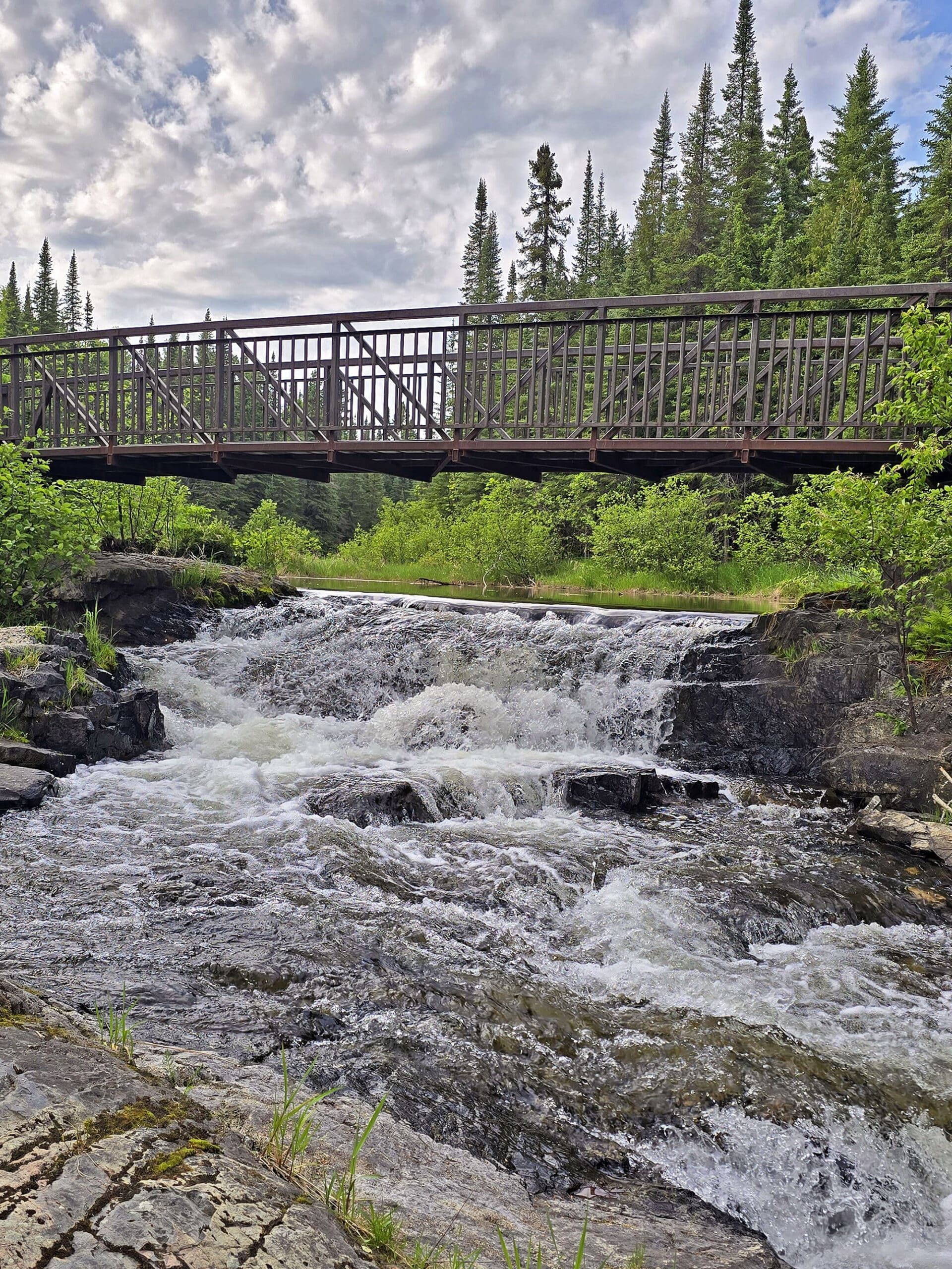 A foot bridge over a small waterfall at Aaron Provincial Park.