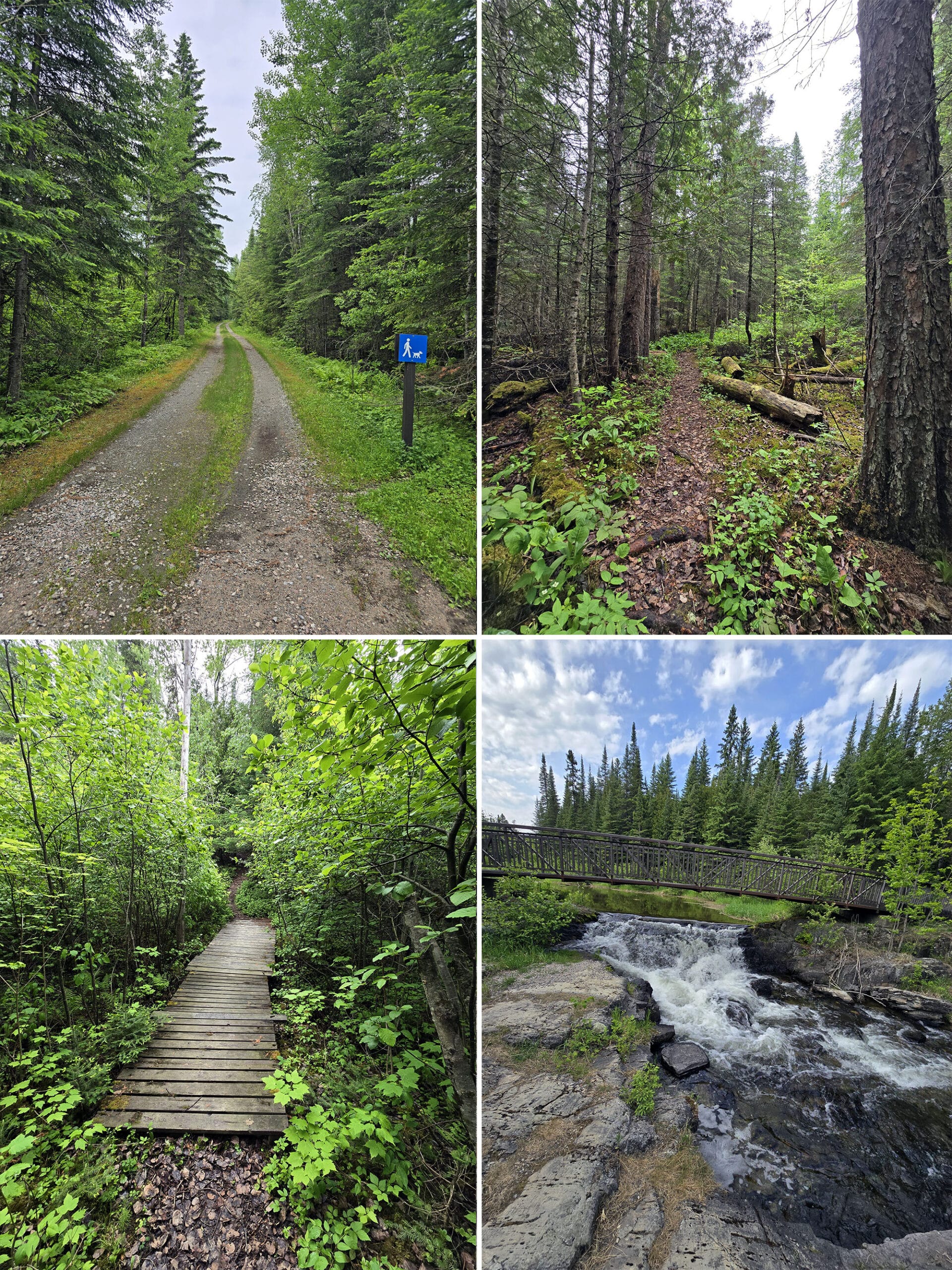 4 part image showing various views along the Aspen Trail at Aaron Provincial Park.