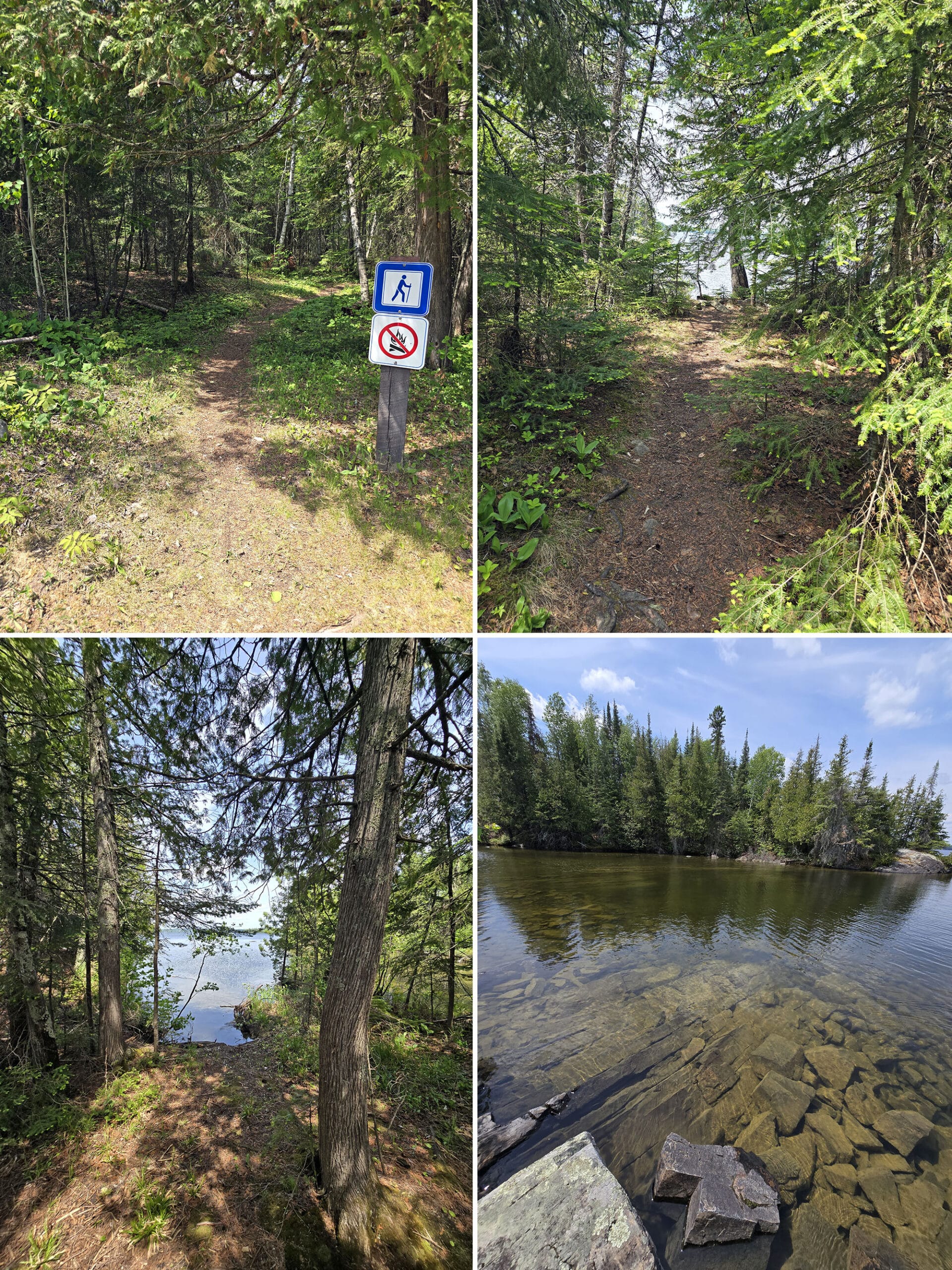 4 part image showing views along the penisula trail at Aaron Provincial Park.