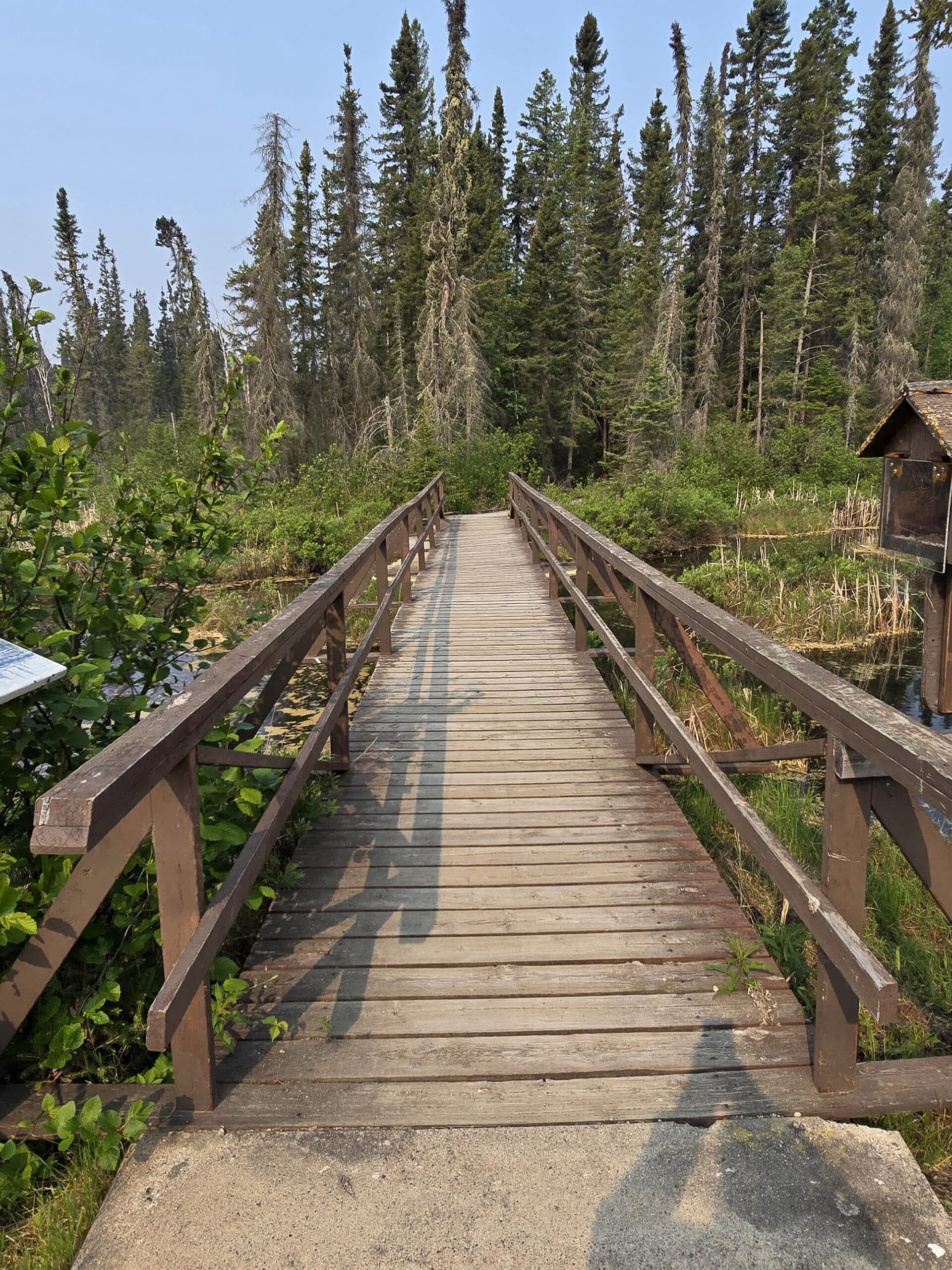 A footbridge over some water at Blue Lake Provincial Park.