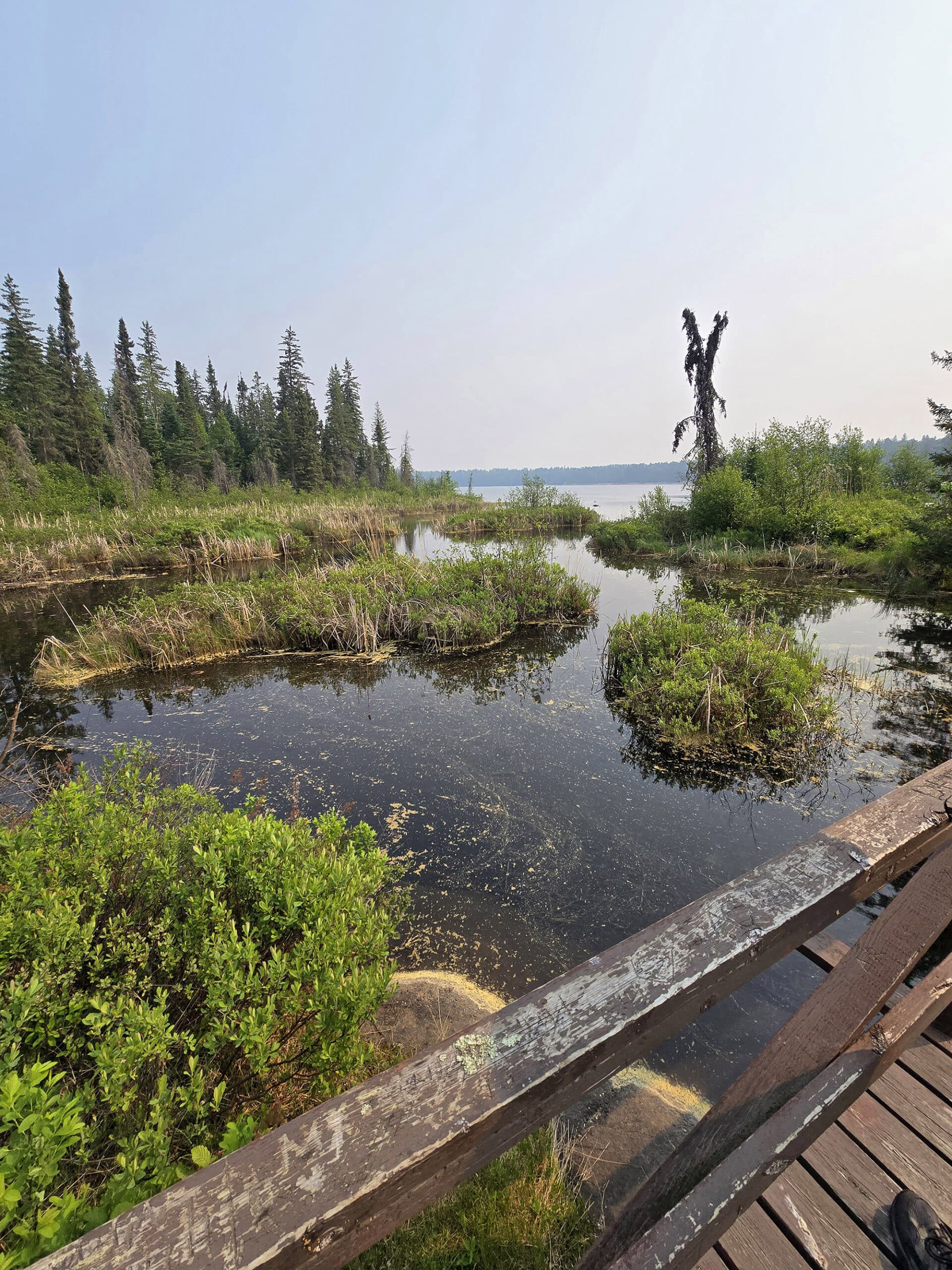 A marshy area of water next to blue lake.