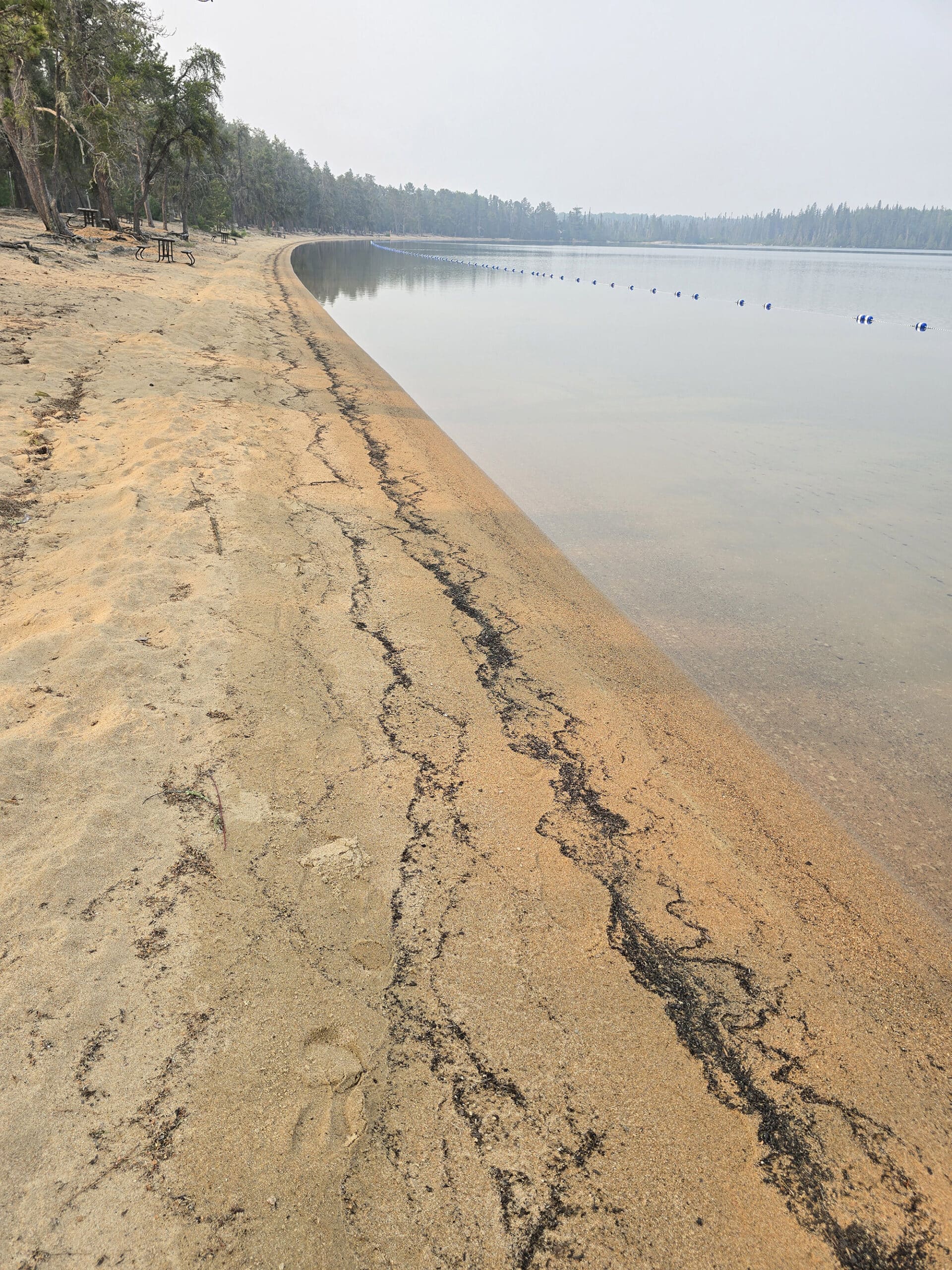 A long sandy beach on blue lake.