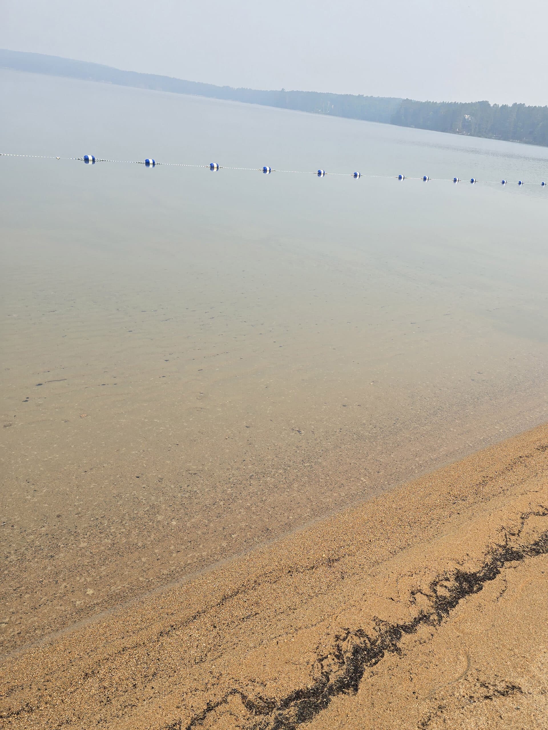 Clear water over sand at Blue Lake Provincial Park.