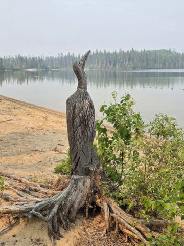 A loon carved out of a tree stump, on the beach at Blue Lake Provincial Park.