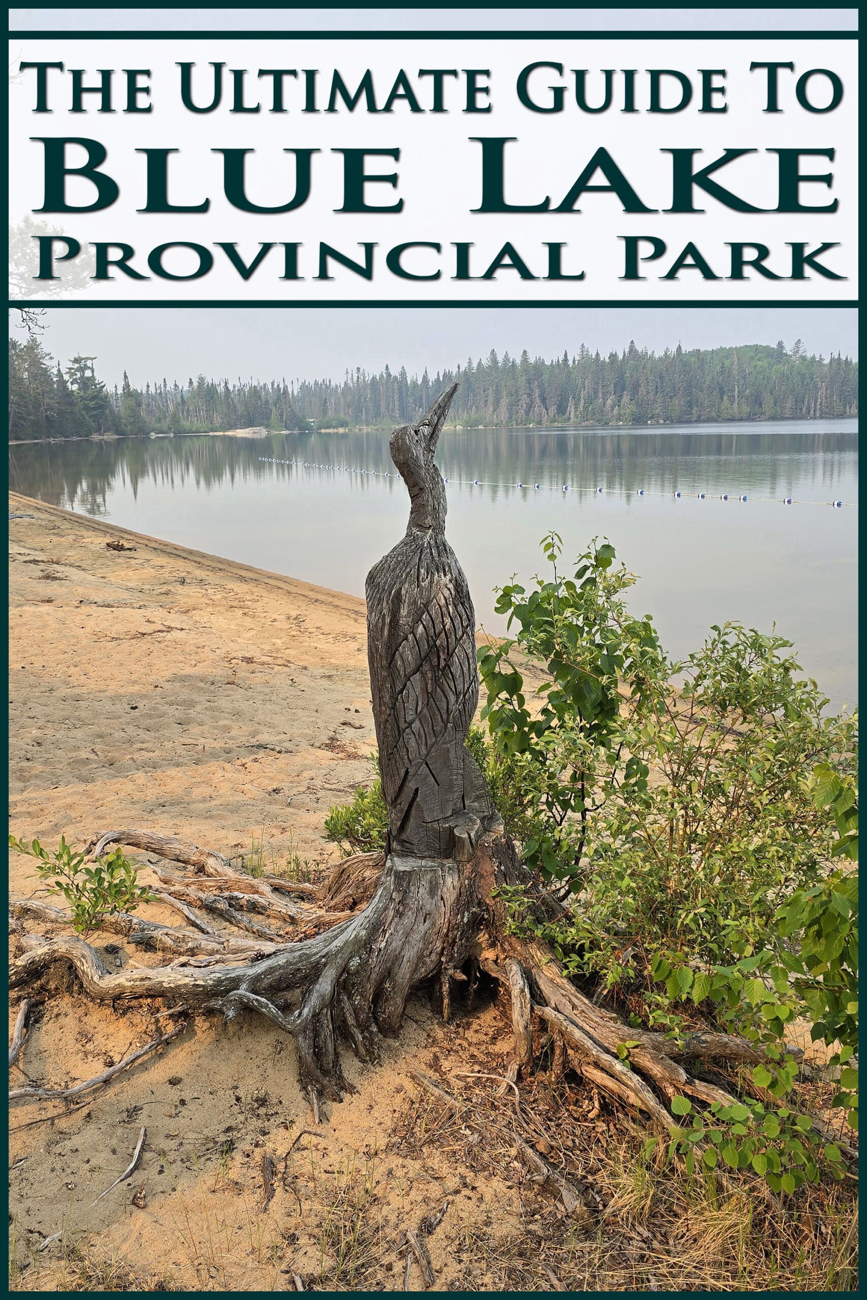 A loon carved out of a tree stump on the beach. Overlaid text says the ultimate guide to blue lake provincial park.
