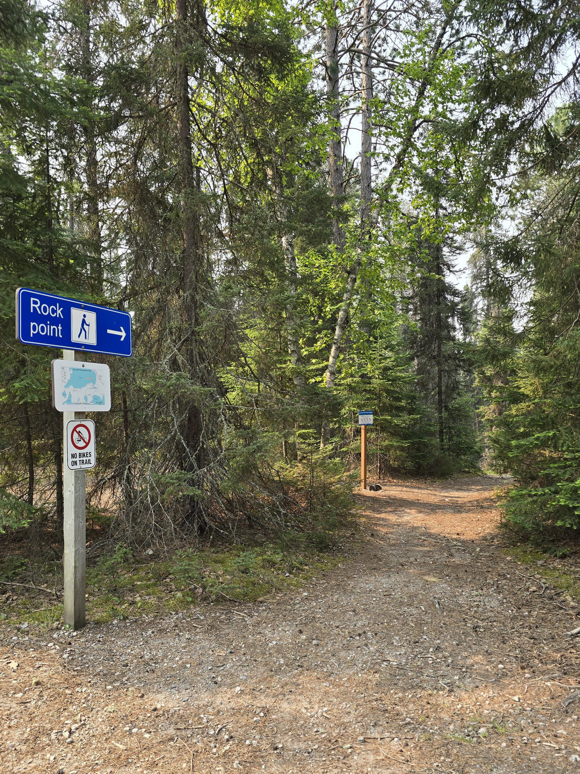 A wide path into the woods, with a trail sign that says rock point.