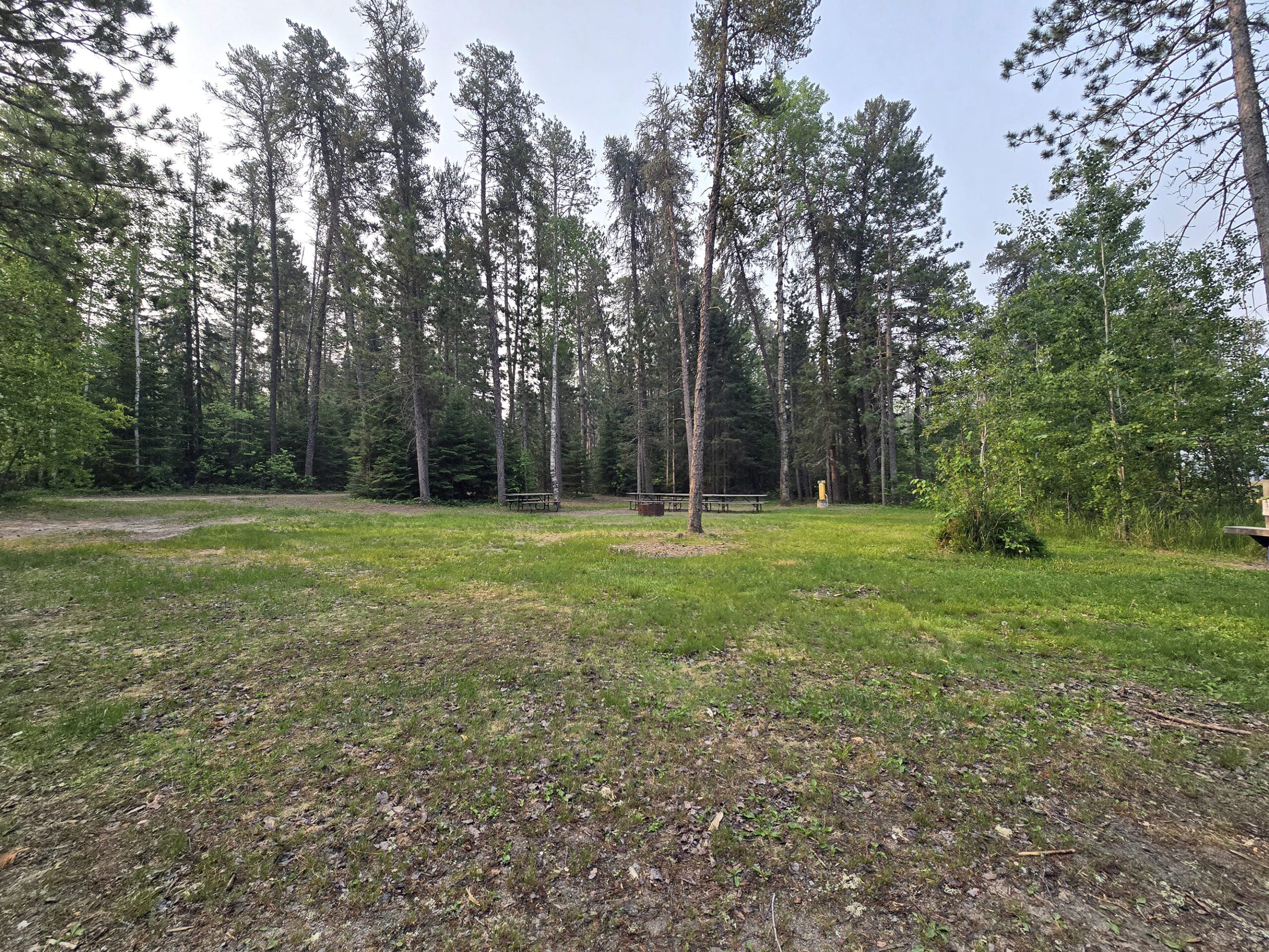 A small group campsite at Blue Lake Provincial Park.