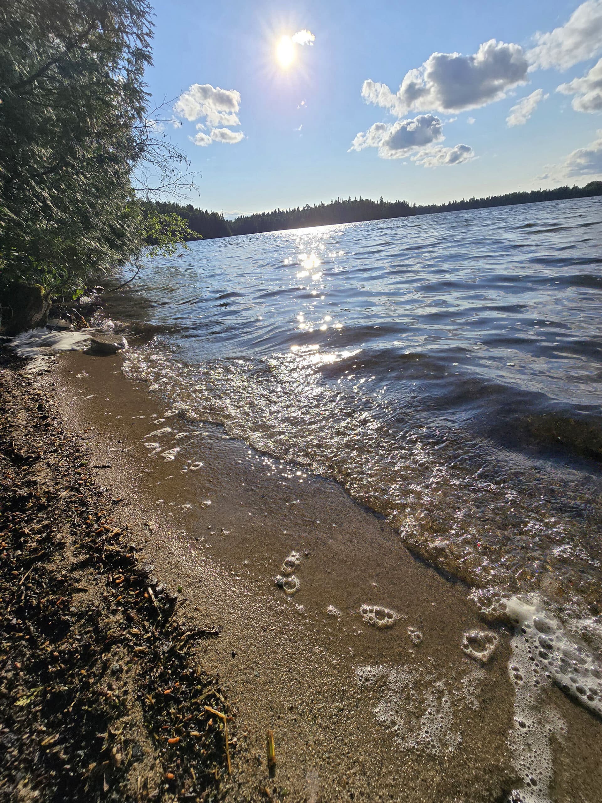 The shoreline at Ojibway Provincial Park.