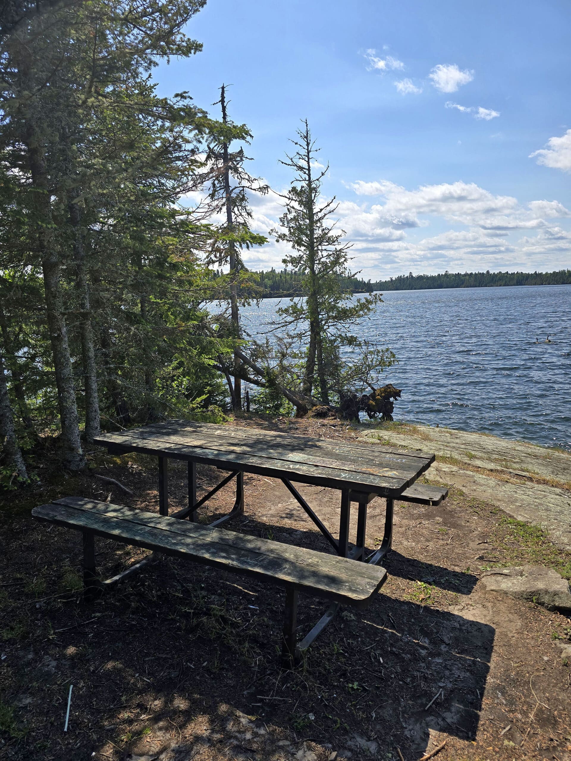 A picnic table on a small island, overlooking little vermillion lake.