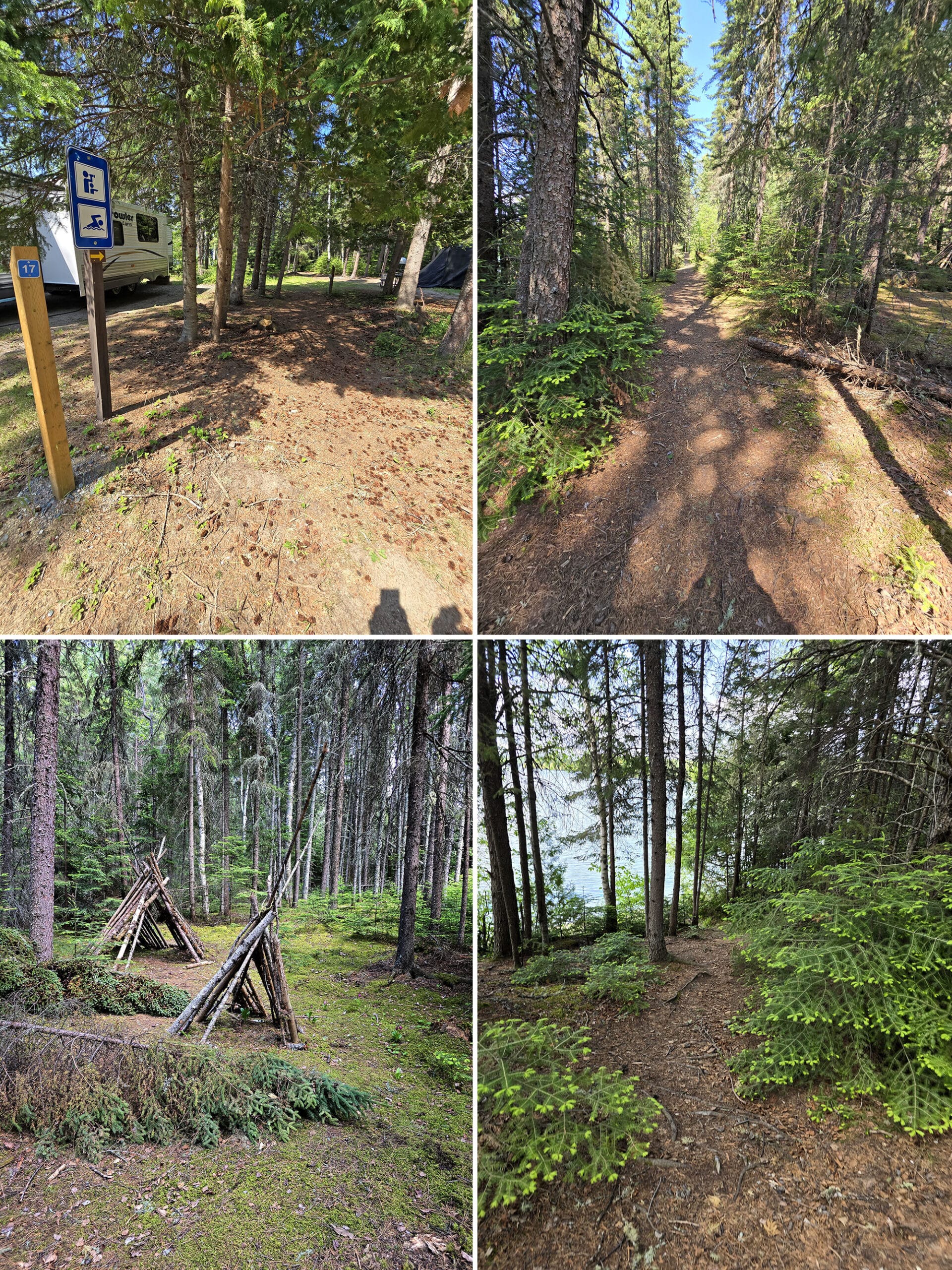 4 part image showing various views along the Beach trail at Ojibway Provincial Park.