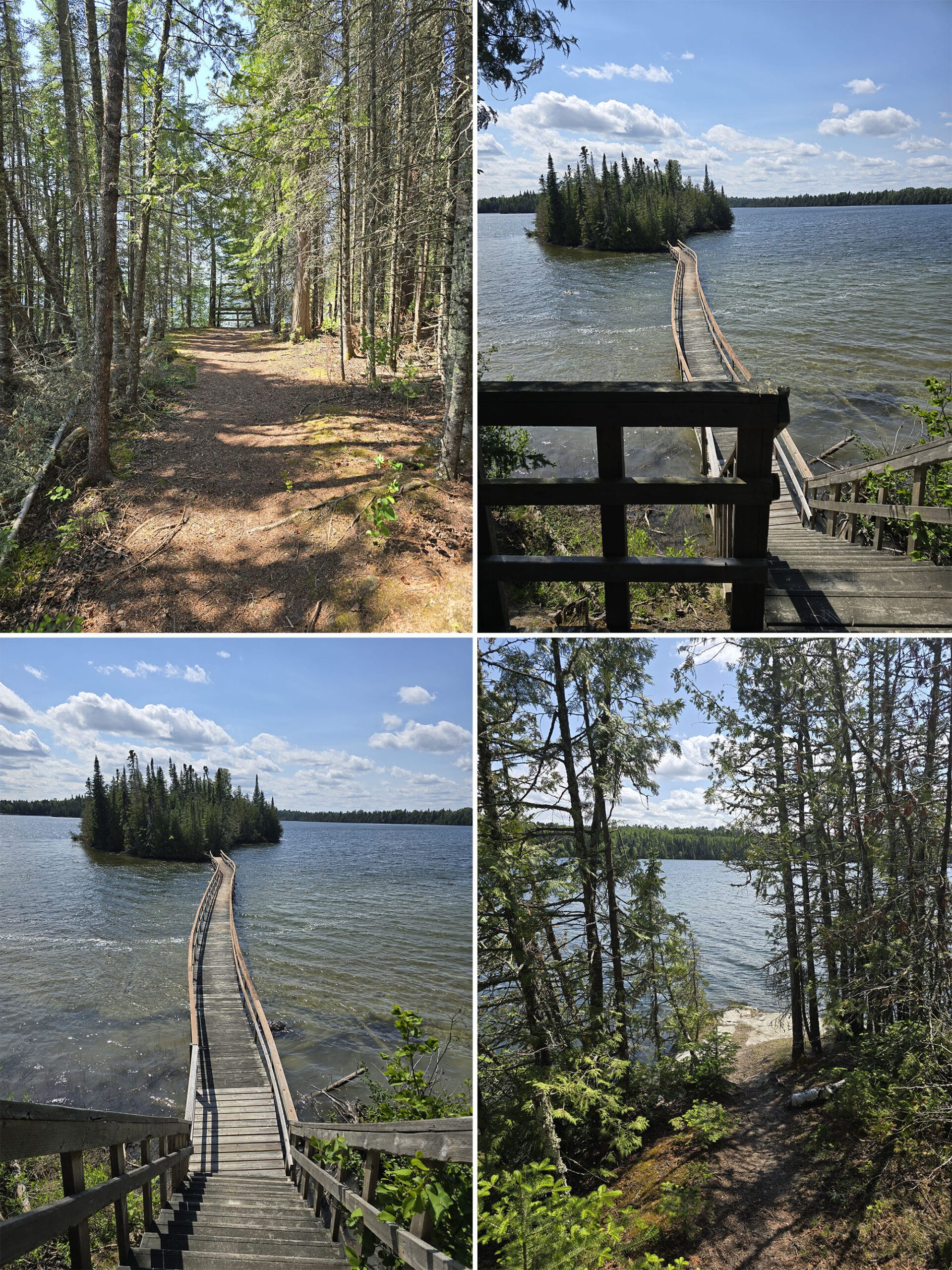 4 part image showing various views along the Island trail at Ojibway Provincial Park.
