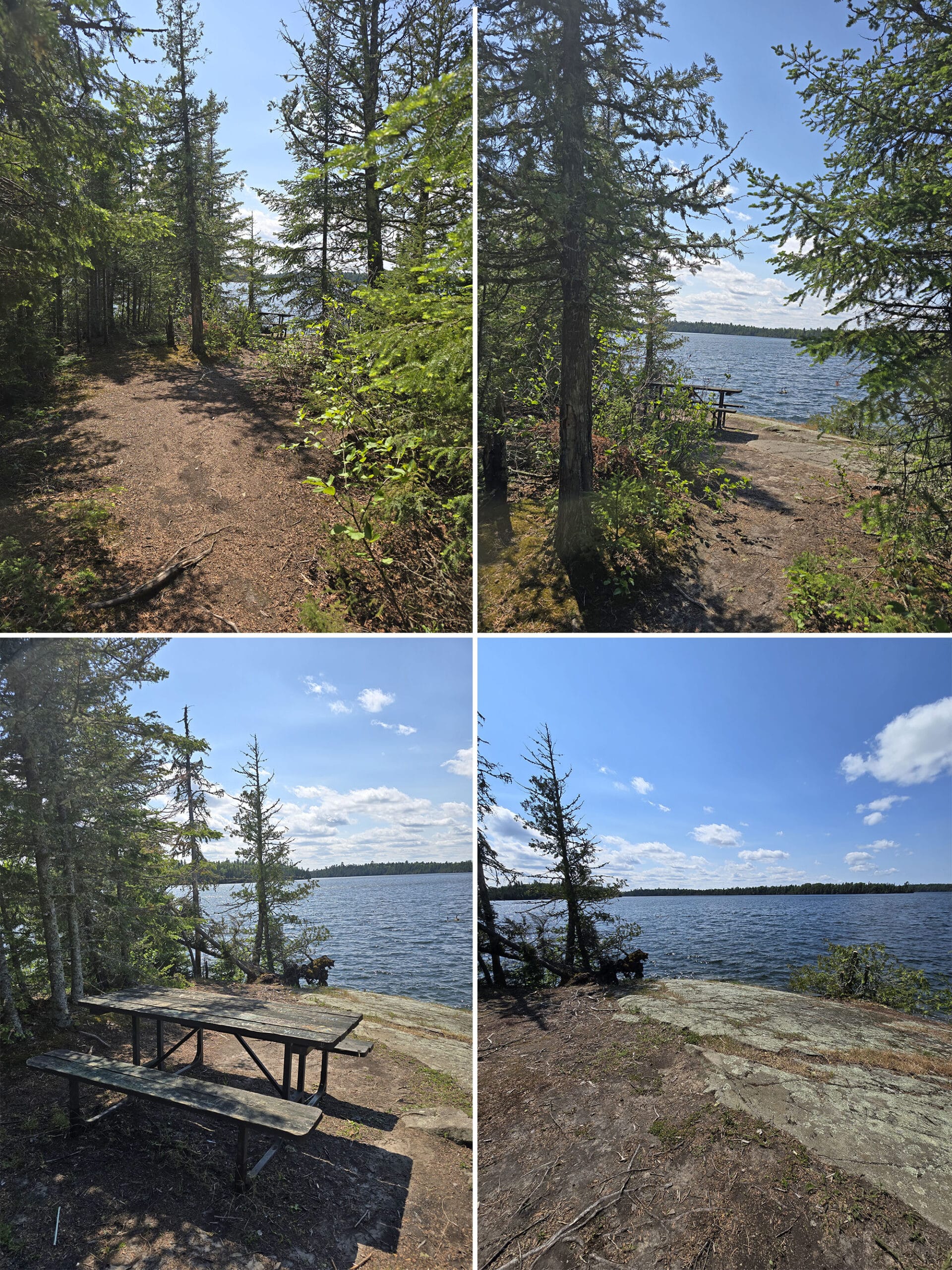 4 part image showing various views along the Island trail at Ojibway Provincial Park.