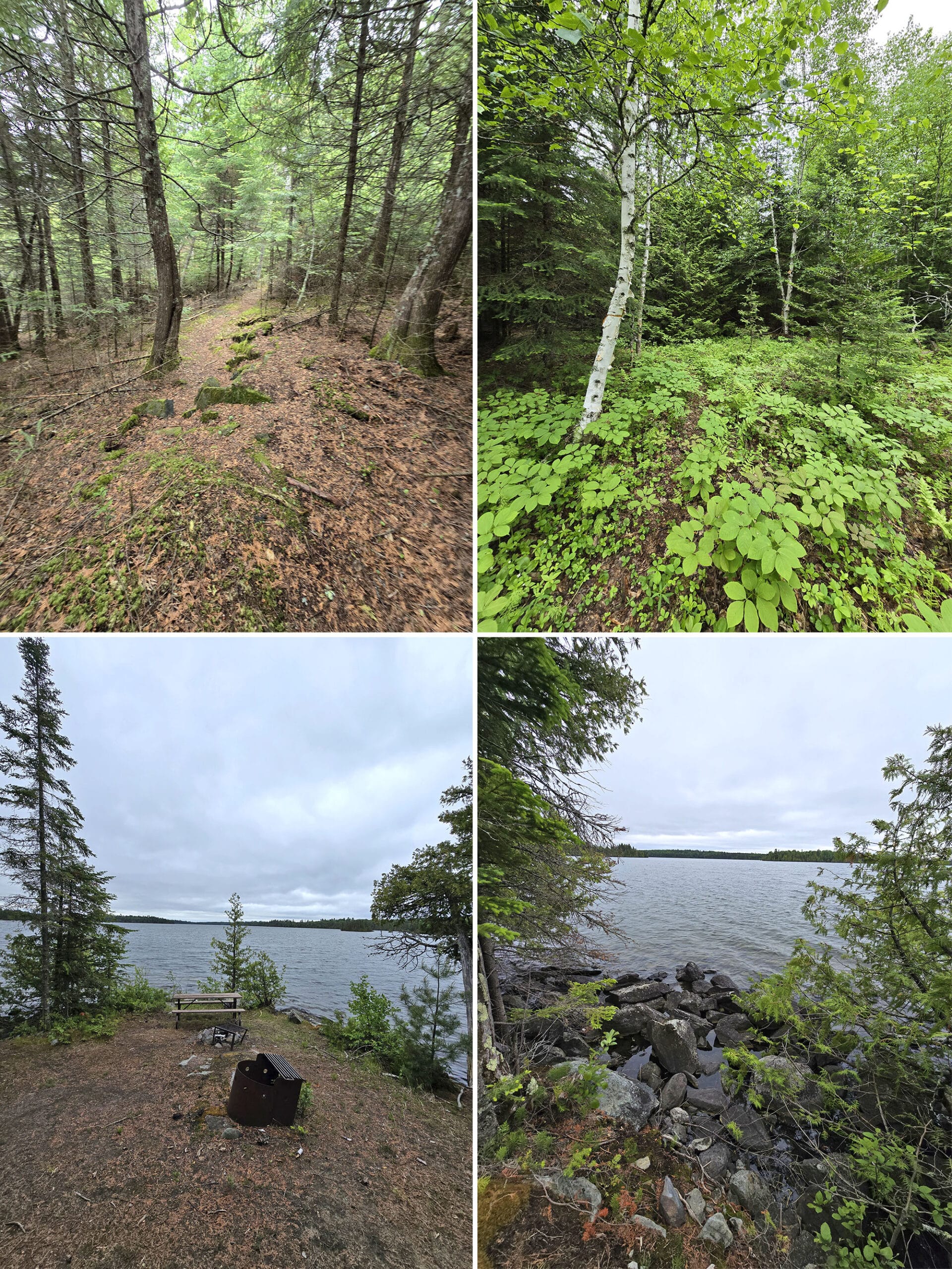 4 part image showing various views along the Lakeshore trail at Ojibway Provincial Park.