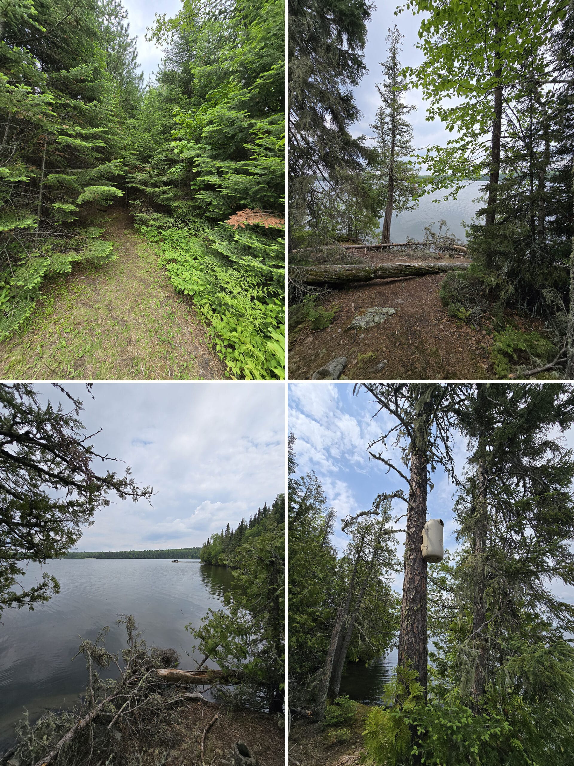 4 part image showing various views along the peninsula trail at Ojibway Provincial Park.