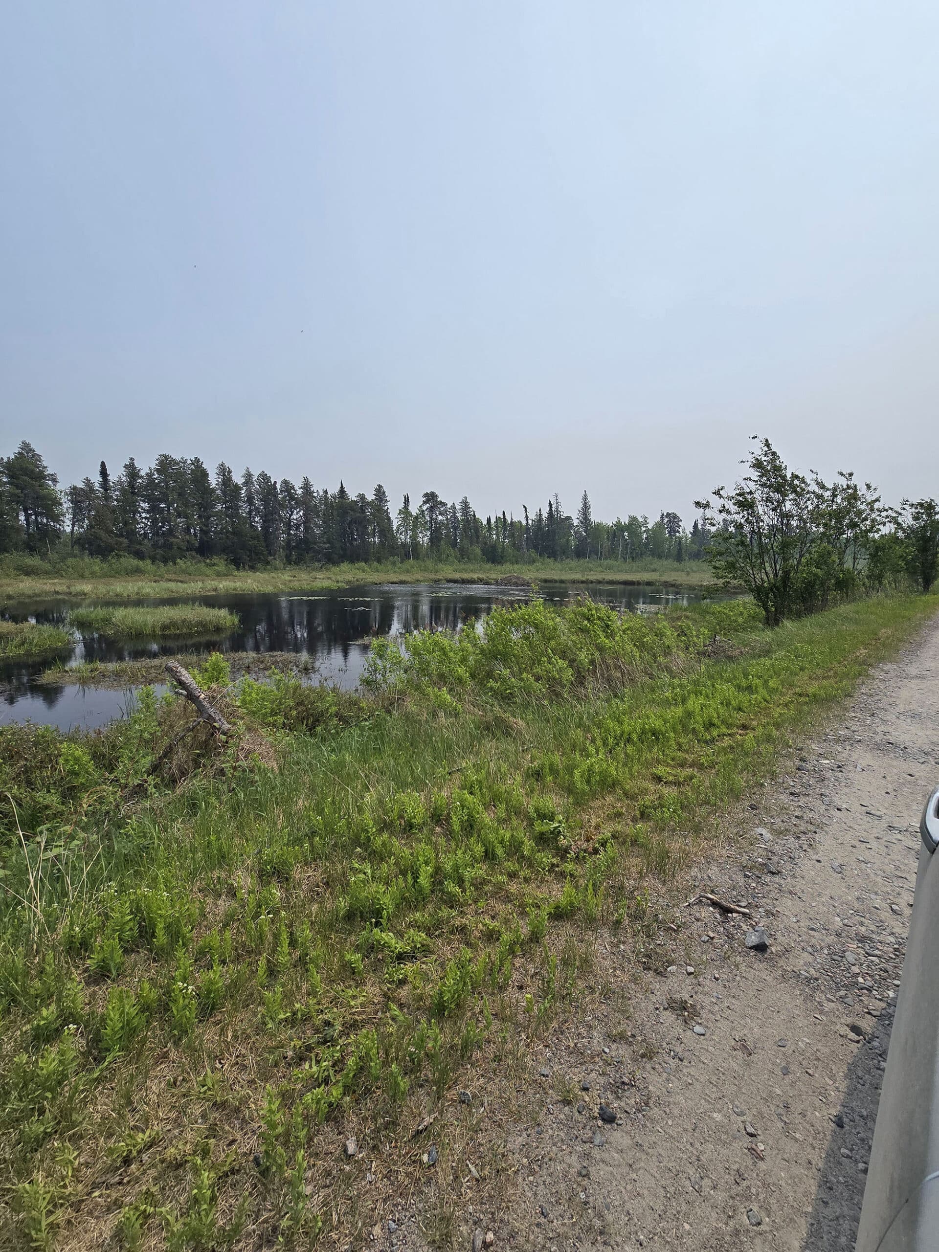 A marshy area on the side of the road at Pakwash Provincial Park.