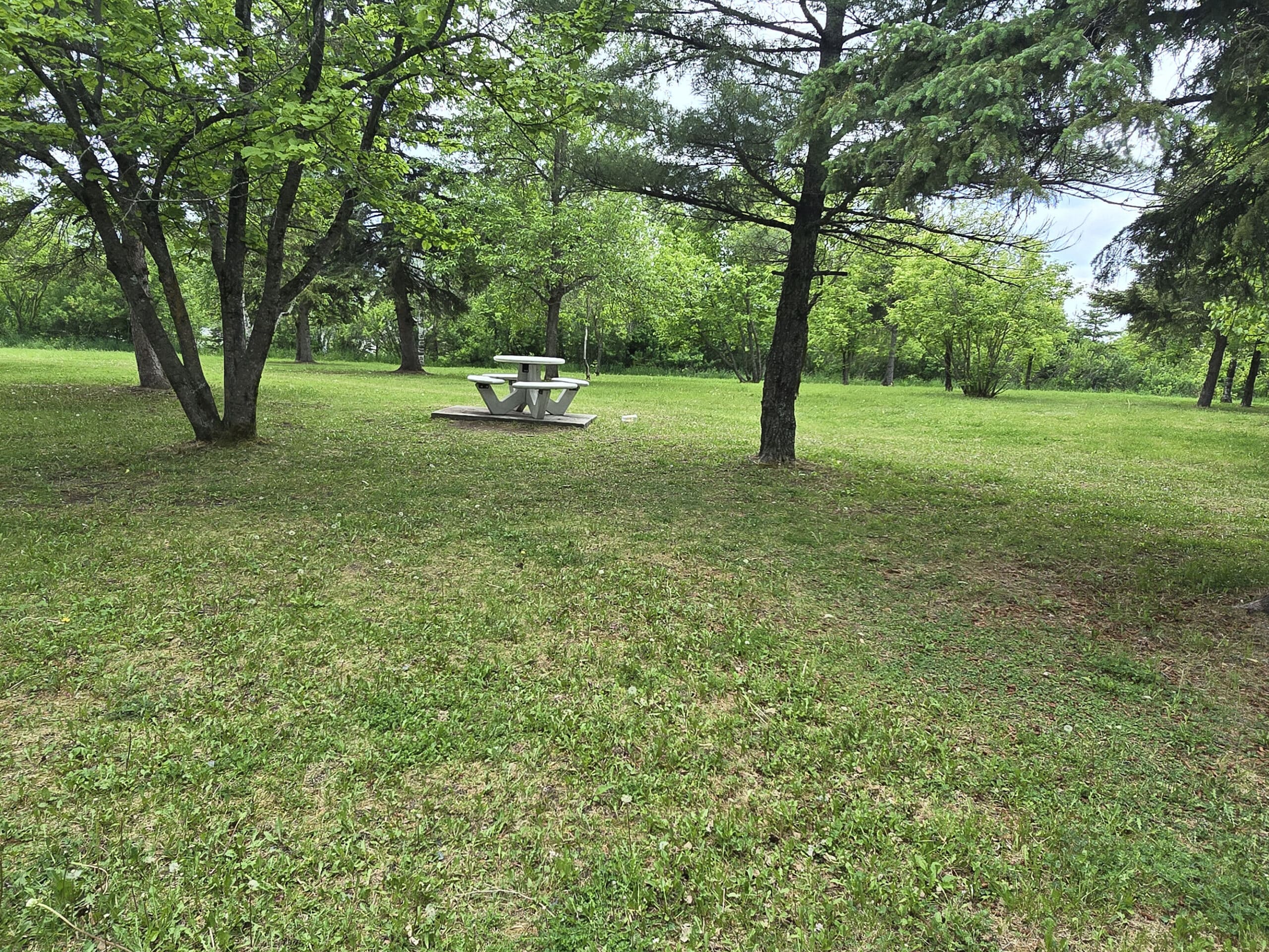 A large manicured lawn with a single picnic table on it.