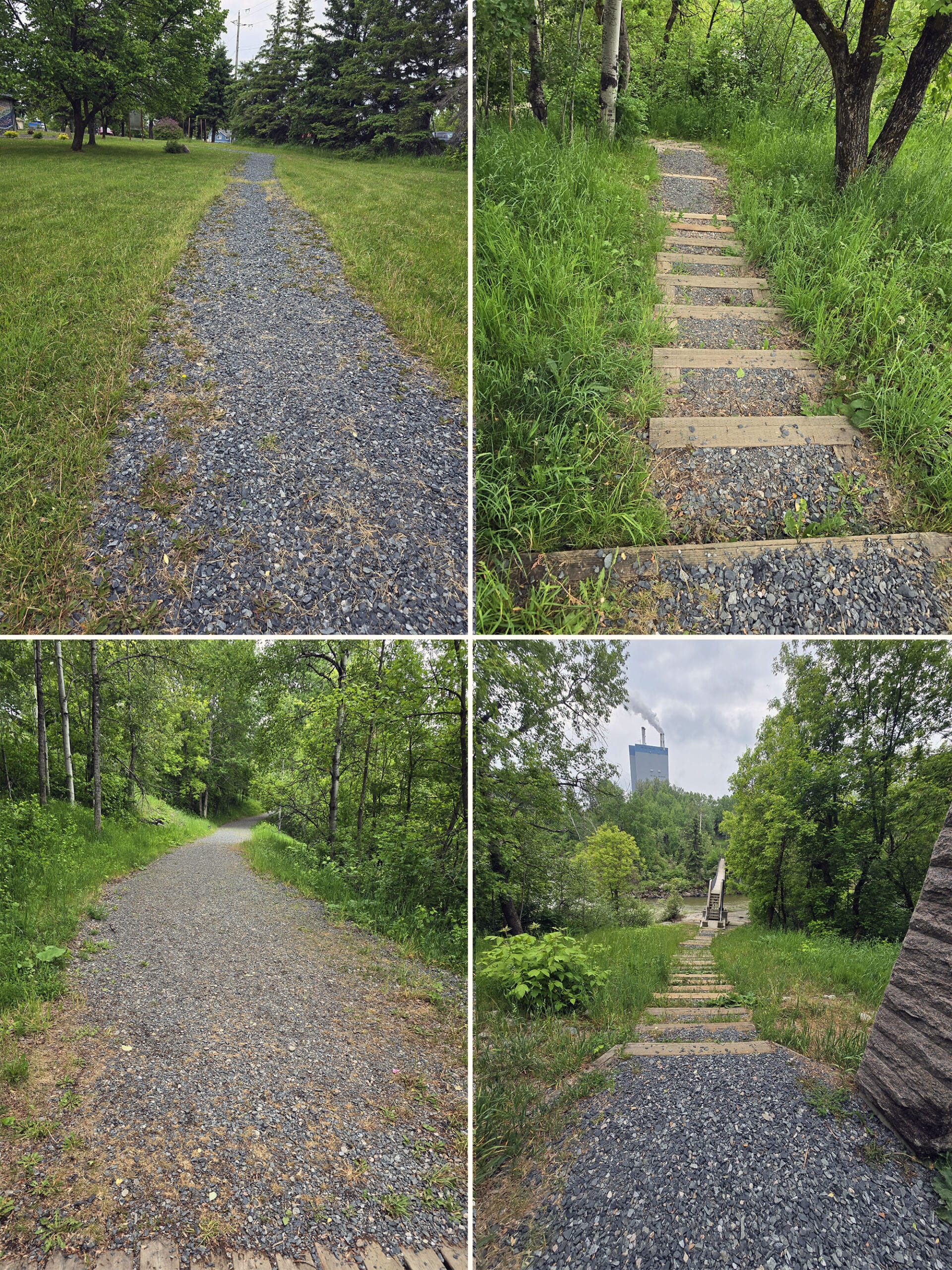 4 part image showing various views along the trail to the Roy Wilson suspension bridge.