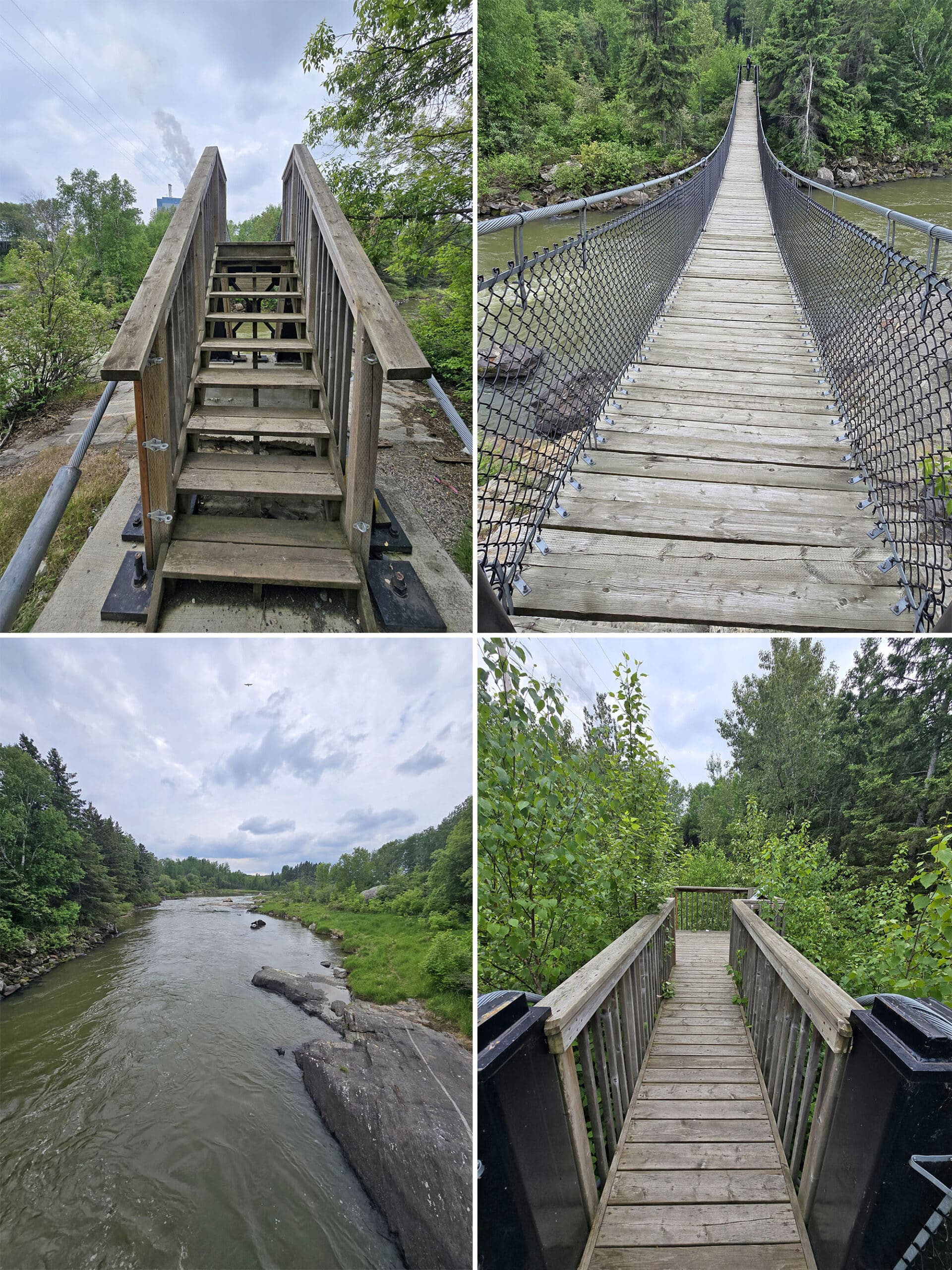 4 part image showing views of and from the roy wilson suspension bridge.