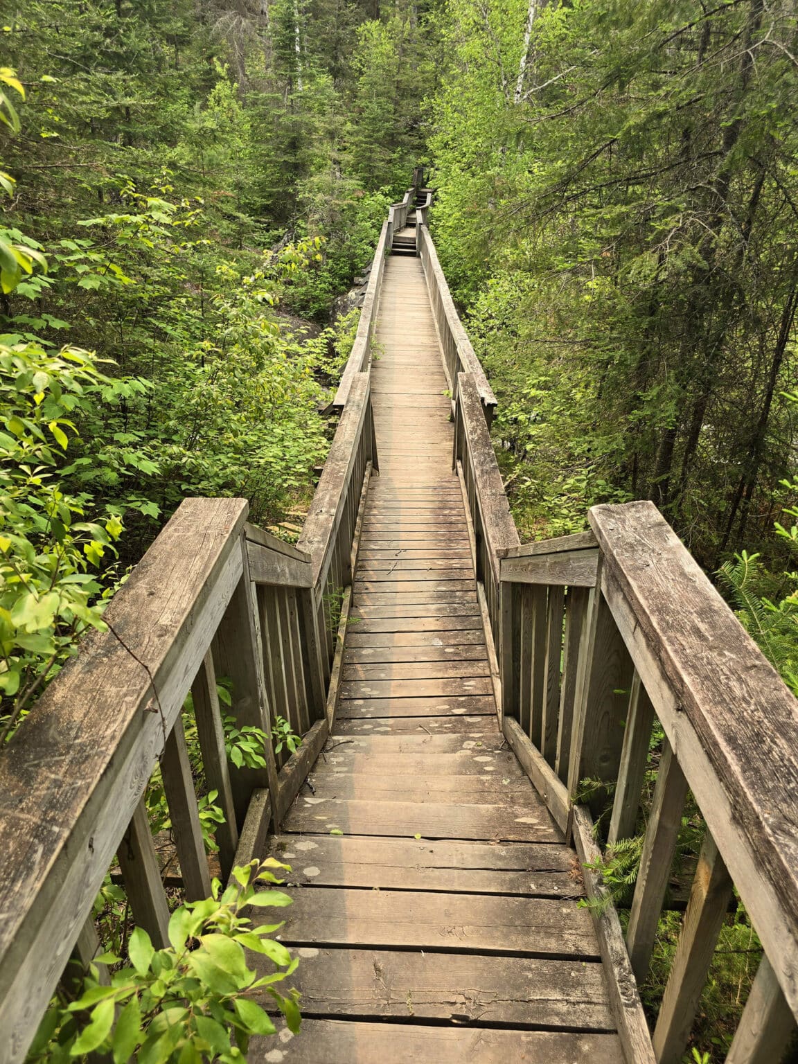 Rushing River Provincial Park Review & Camping Guide - 2 Nerds In A Truck