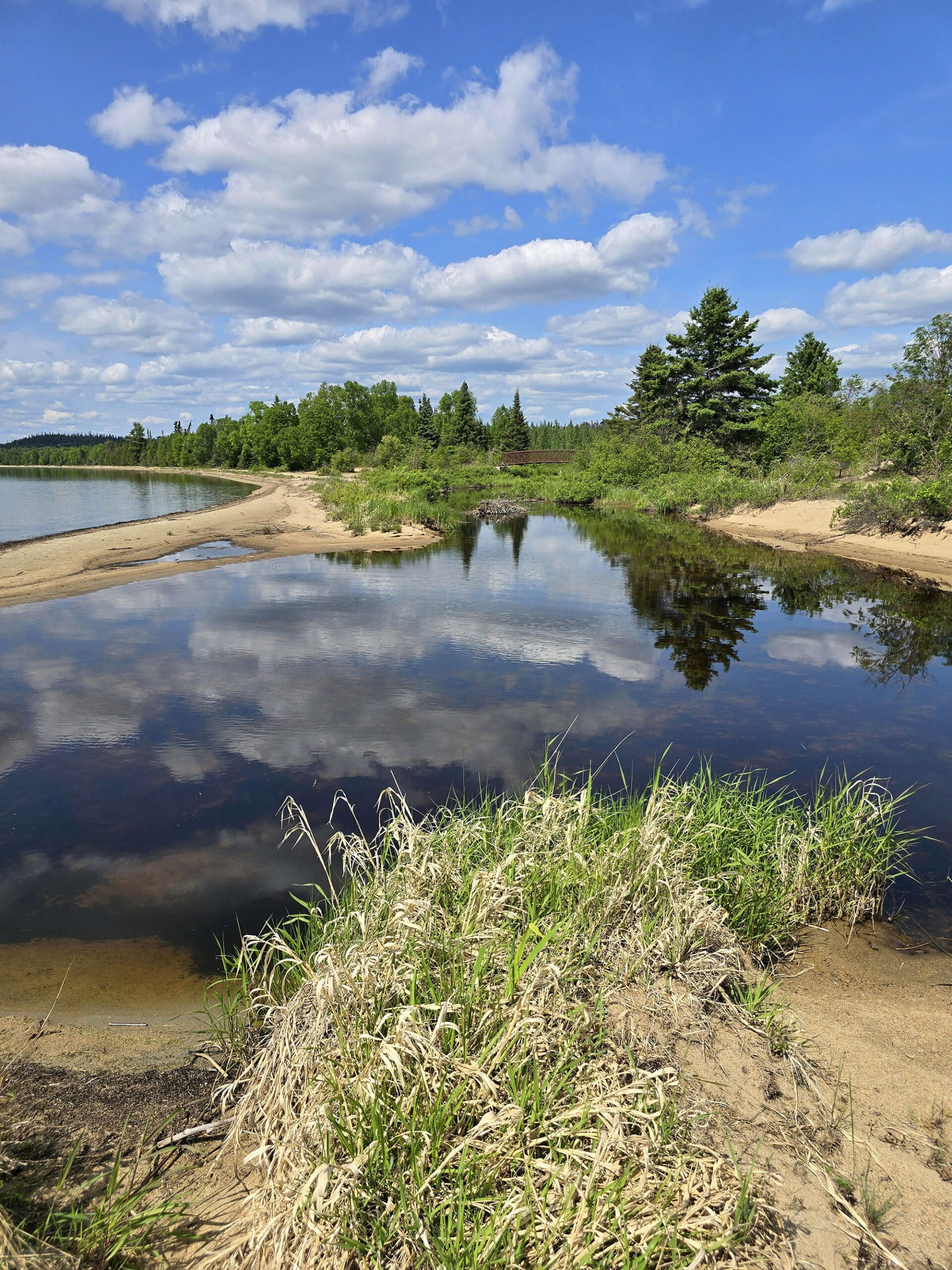 A pond at Sandbar Lake Provincial Park.