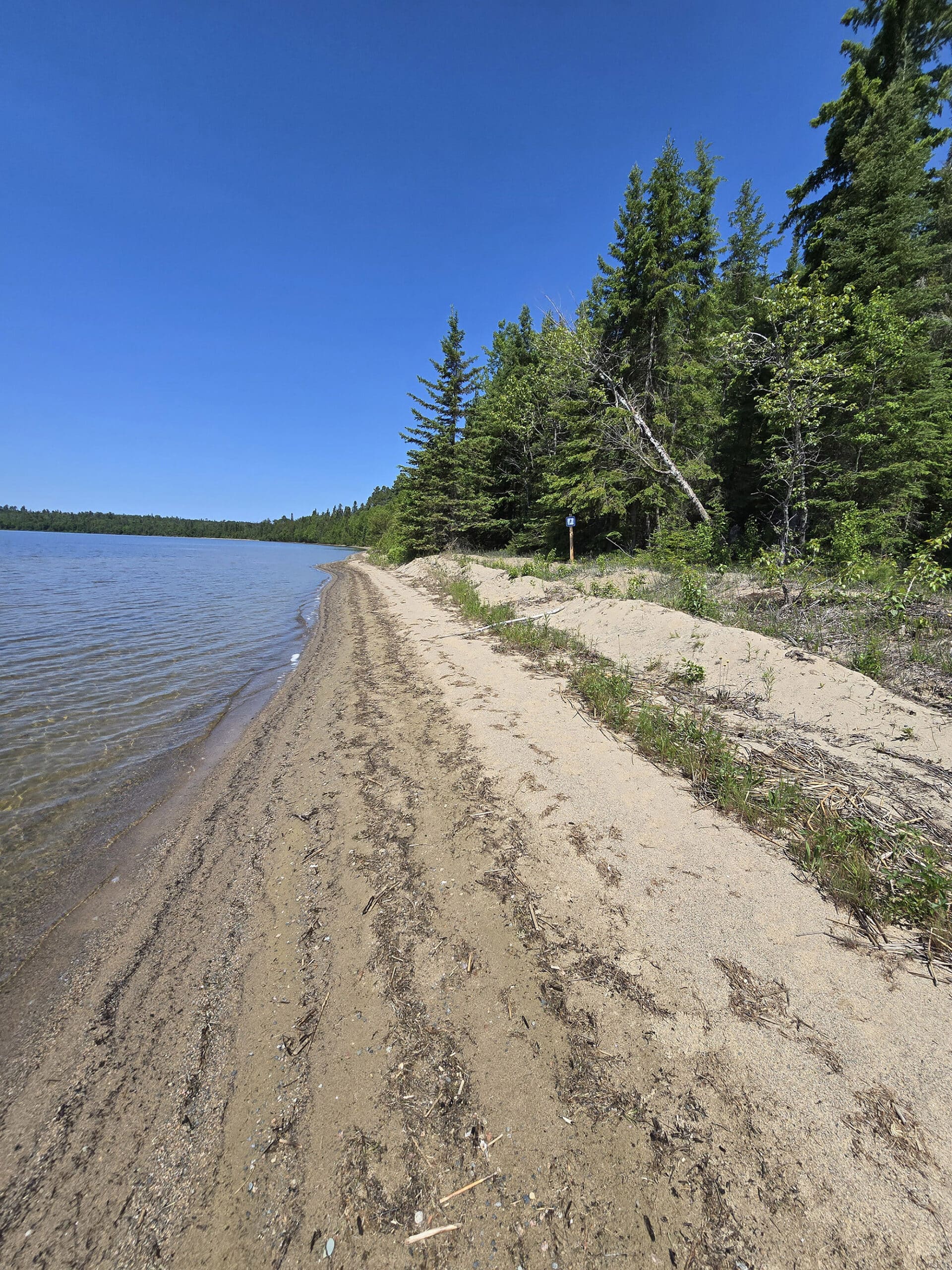A sandy beach on Sandbar Lake.