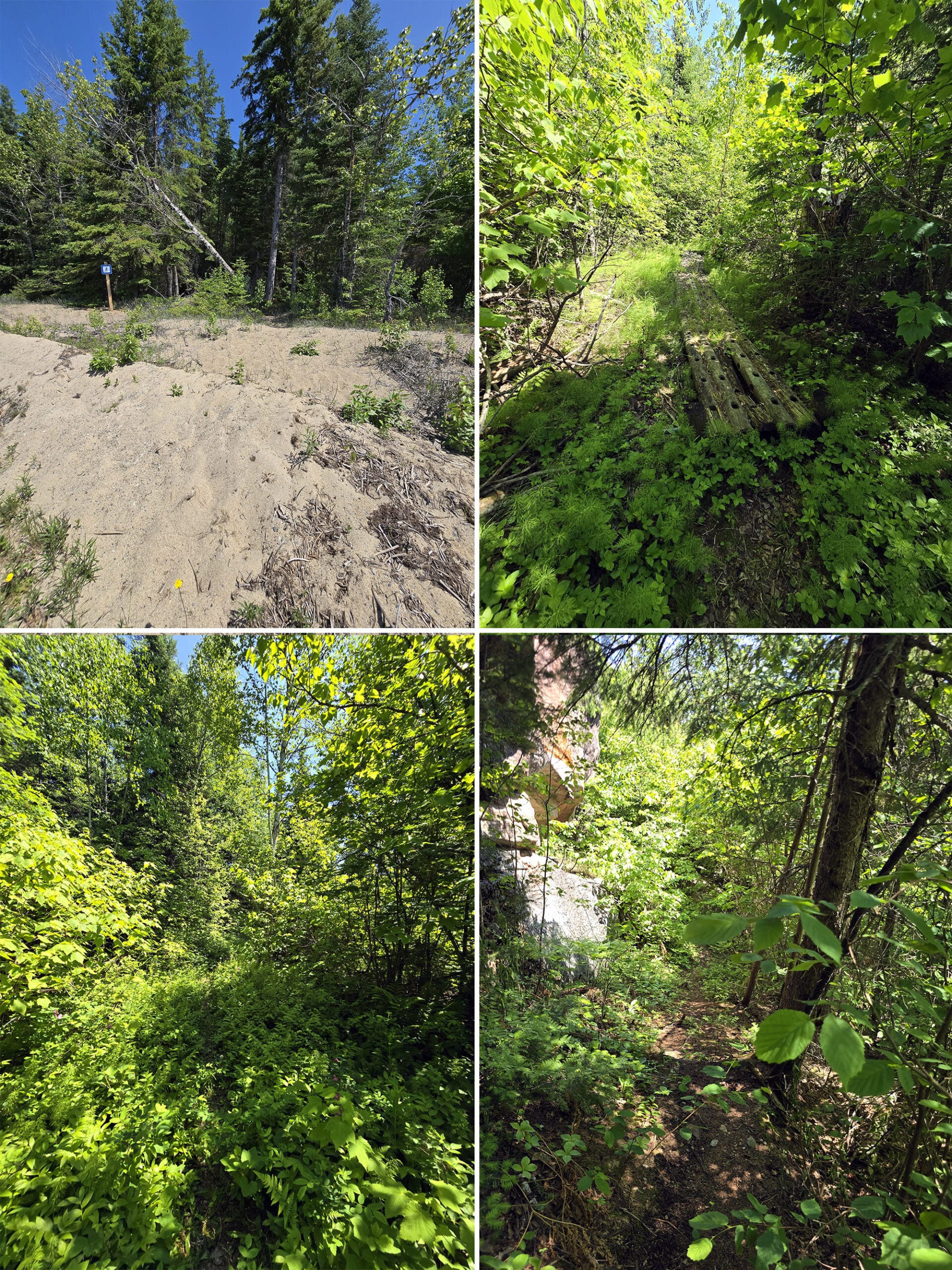 4 part image showing various views along the Rockcliff Trail at Sandbar Lake Provincial Park.