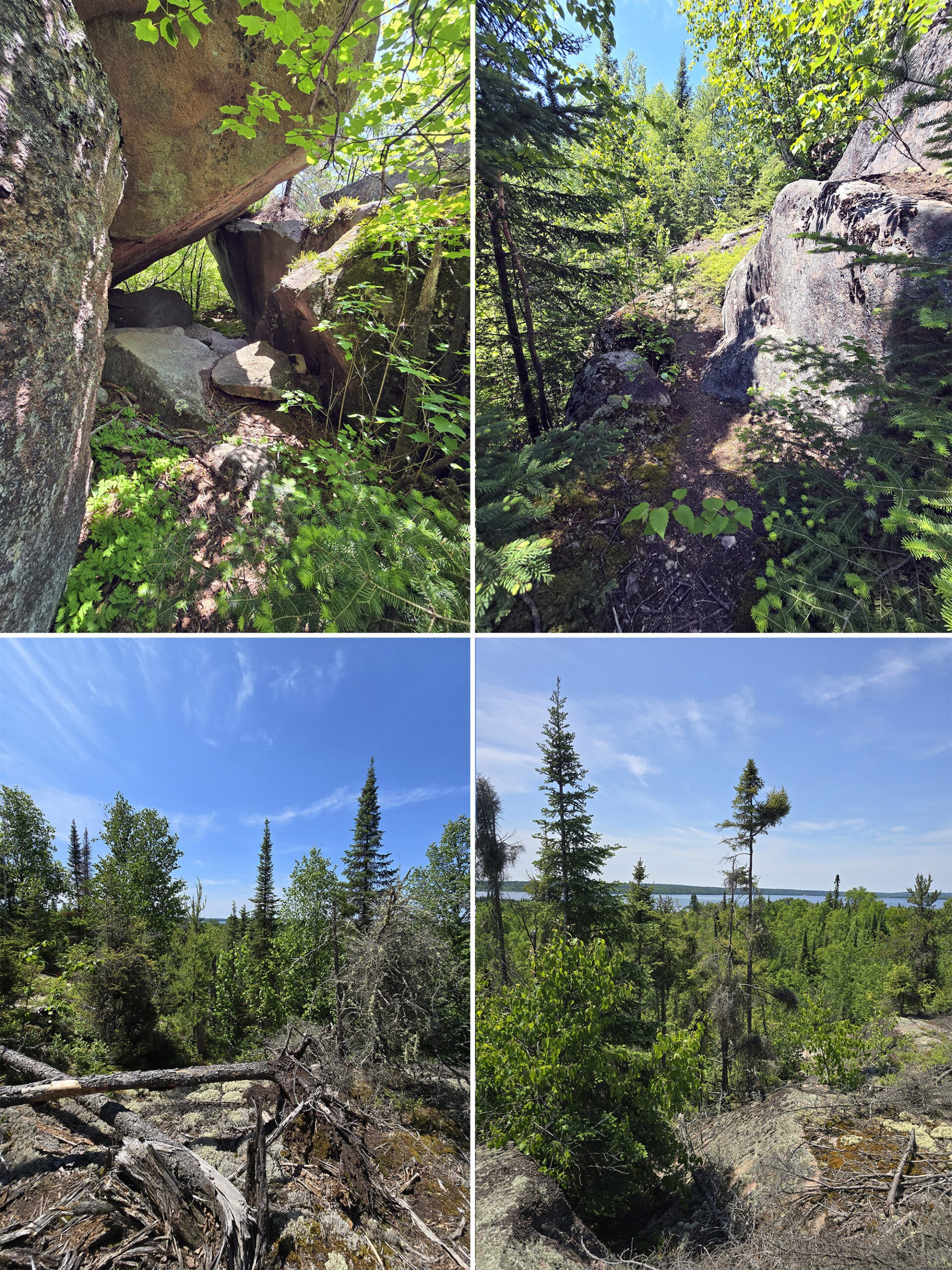 4 part image showing various views along the Rockcliff Trail at Sandbar Lake Provincial Park.