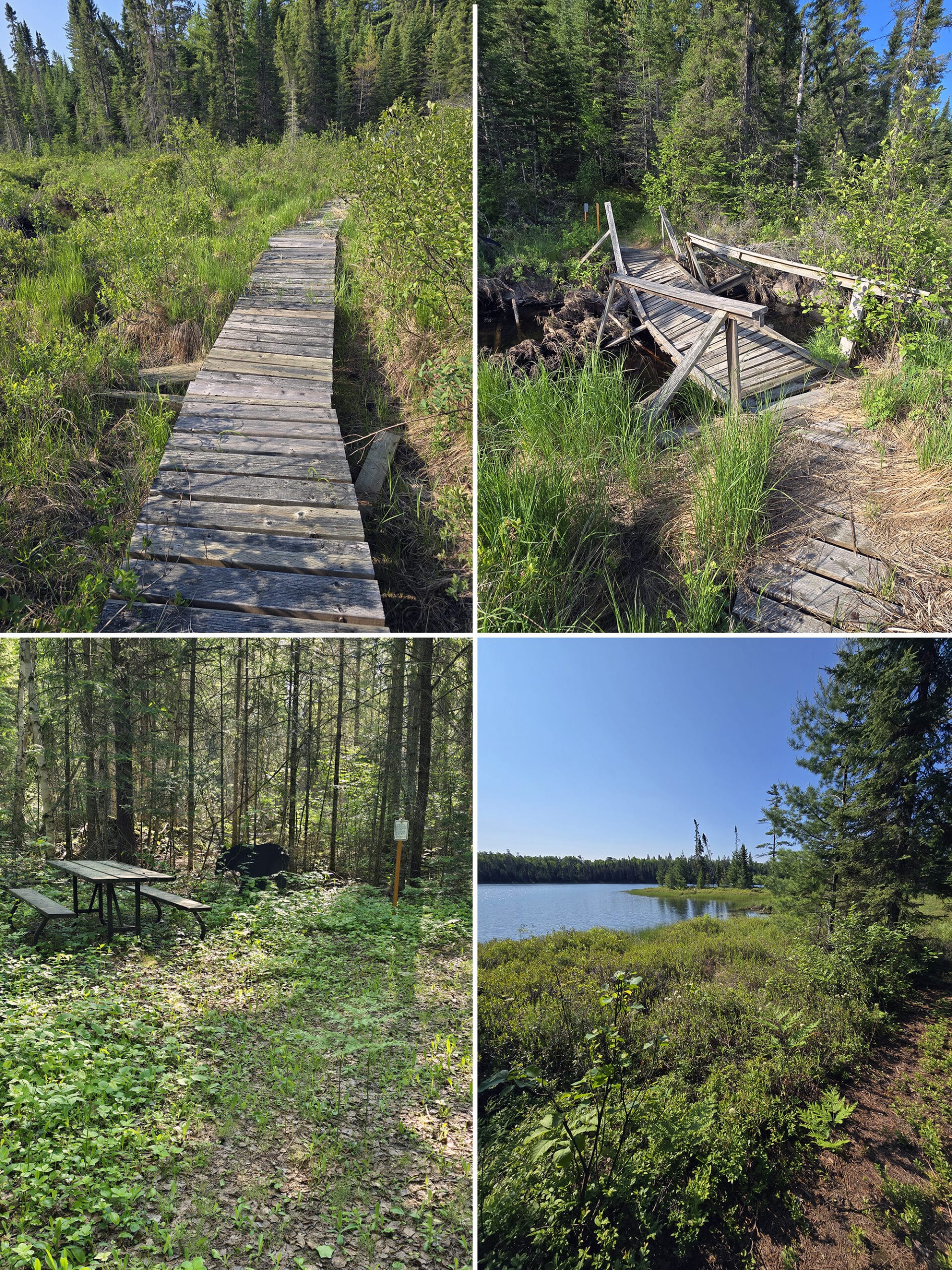 4 part image showing various views along the Silhouette Trail at Sandbar Lake Provincial Park.