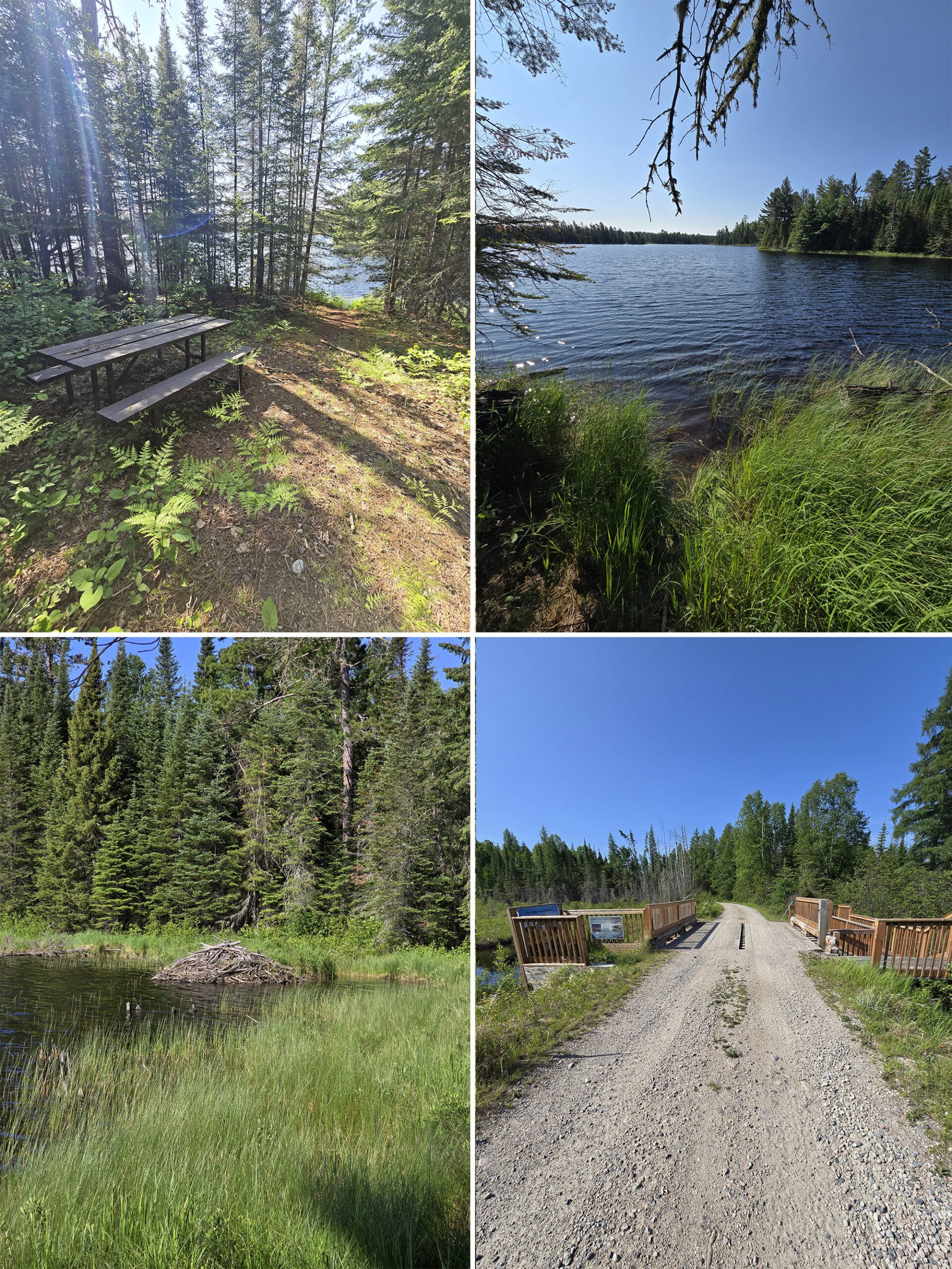 4 part image showing various views along the Silhouette Trail at Sandbar Lake Provincial Park.
