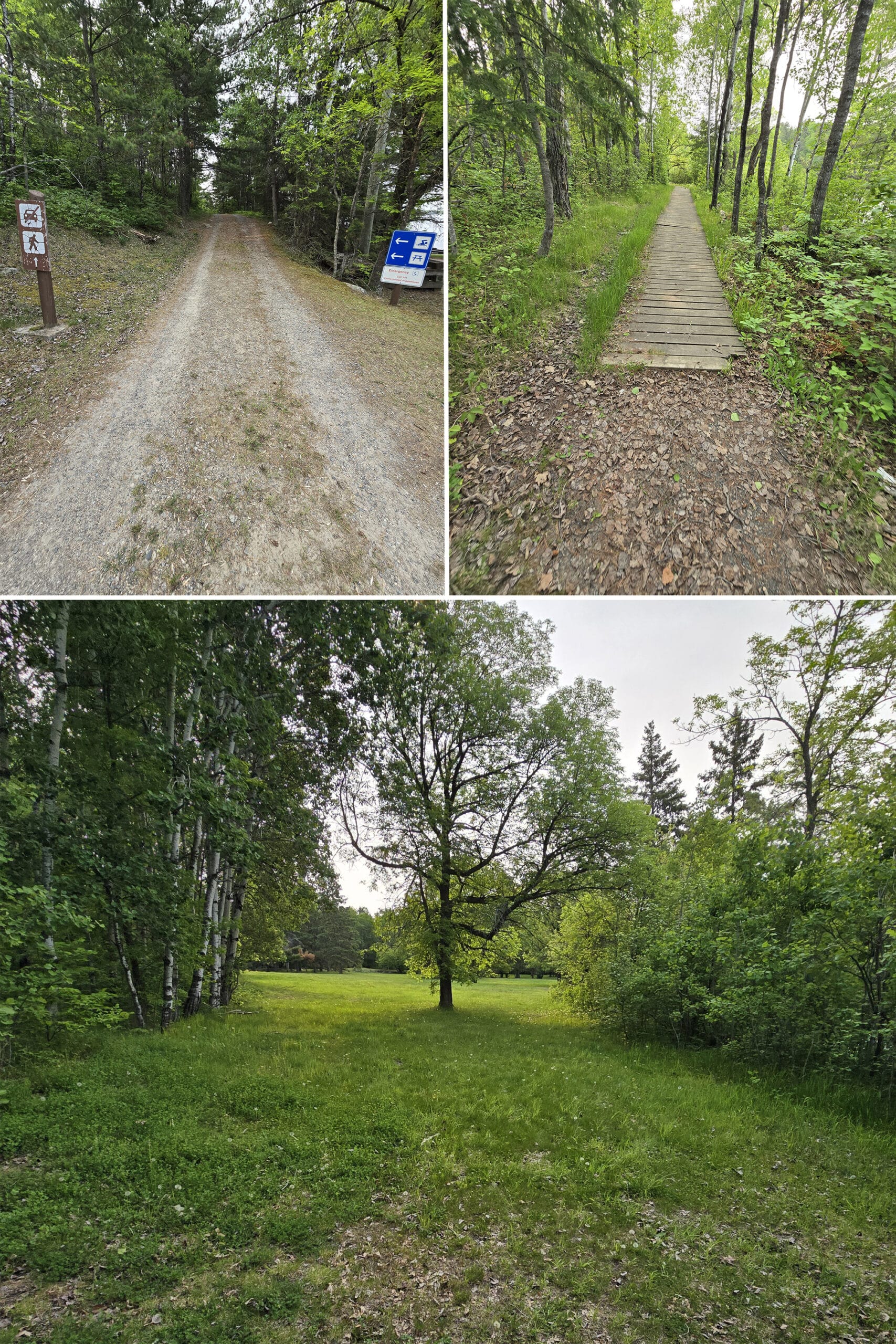4 part image showing various views along the Beach Path at Sioux Narrows Provincial Park.