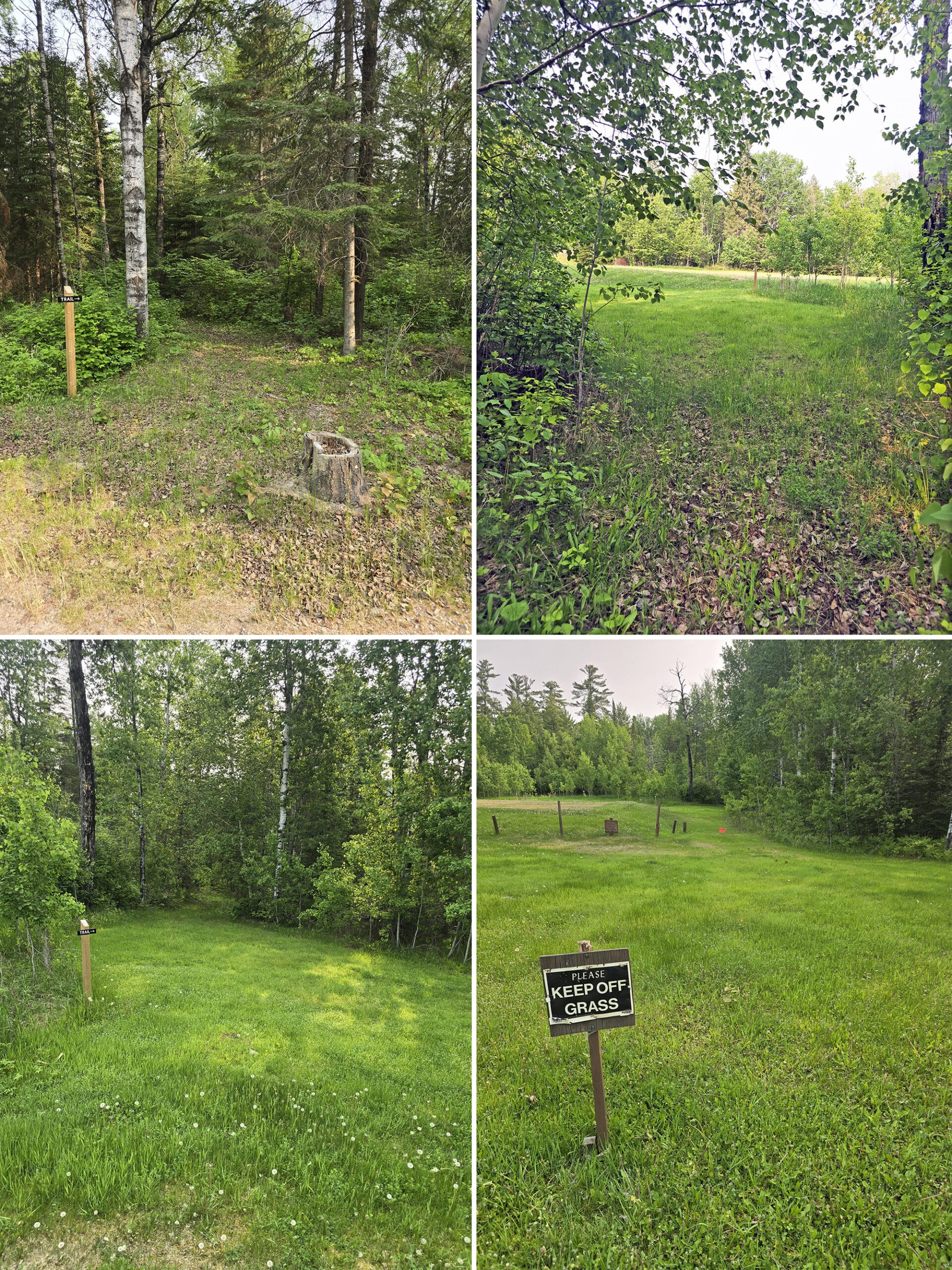4 part image showing various views along the Deer Path Trail at Sioux Narrows Provincial Park.