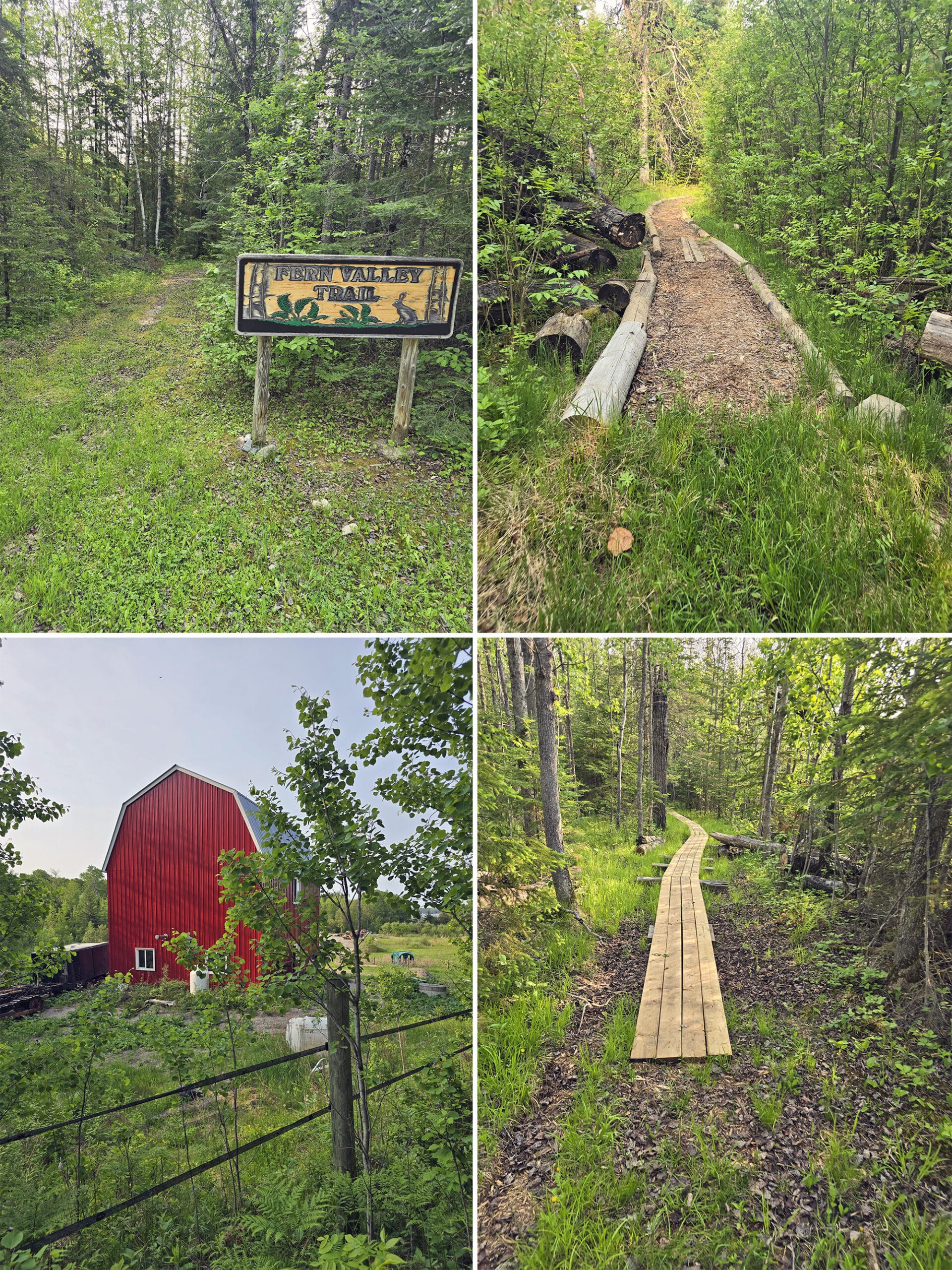 4 part image showing various views along the Fern Valley Trail at Sioux Narrows Provincial Park.