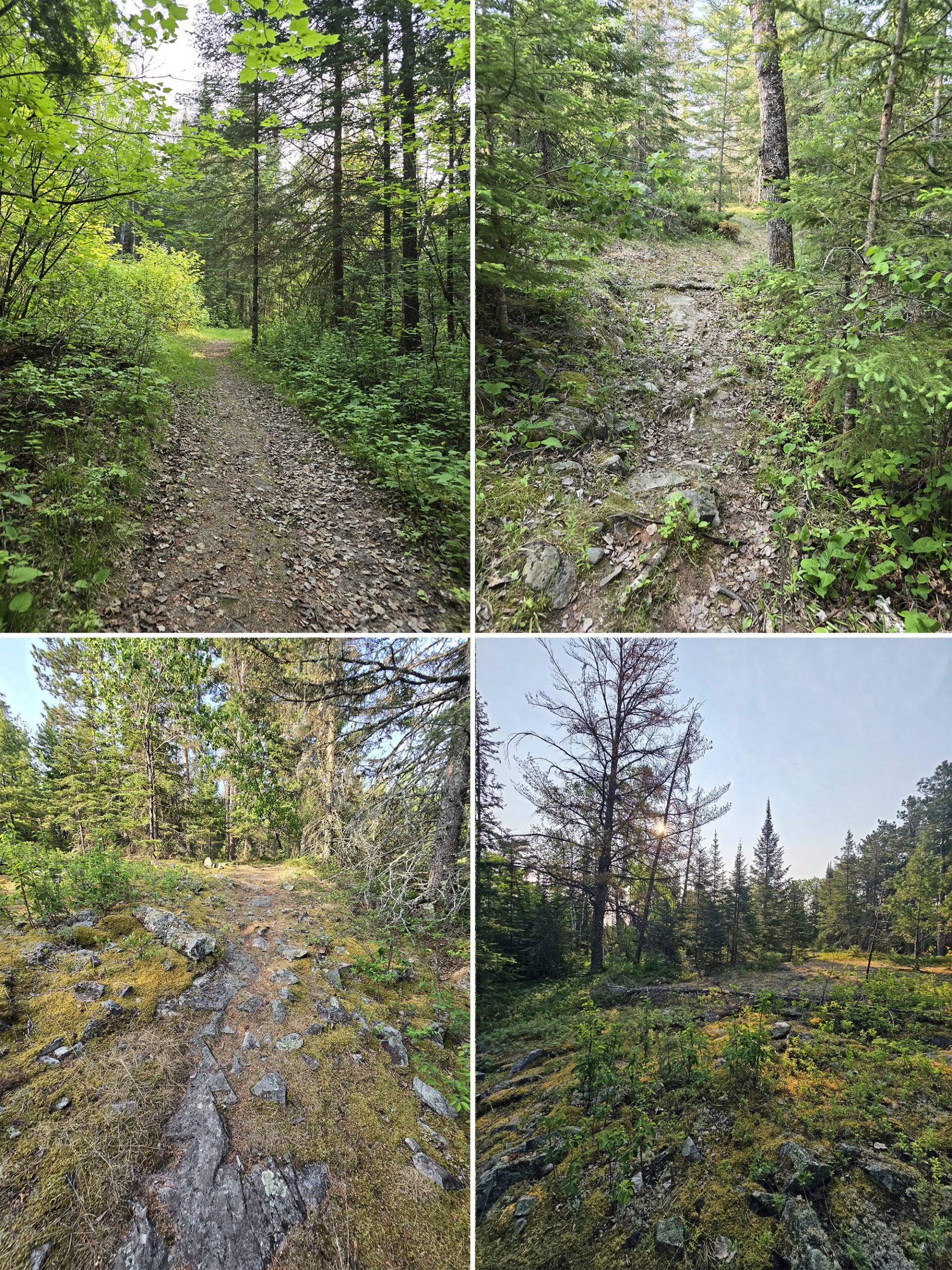 4 part image showing various views along the Lookout Trail at Sioux Narrows Provincial Park.