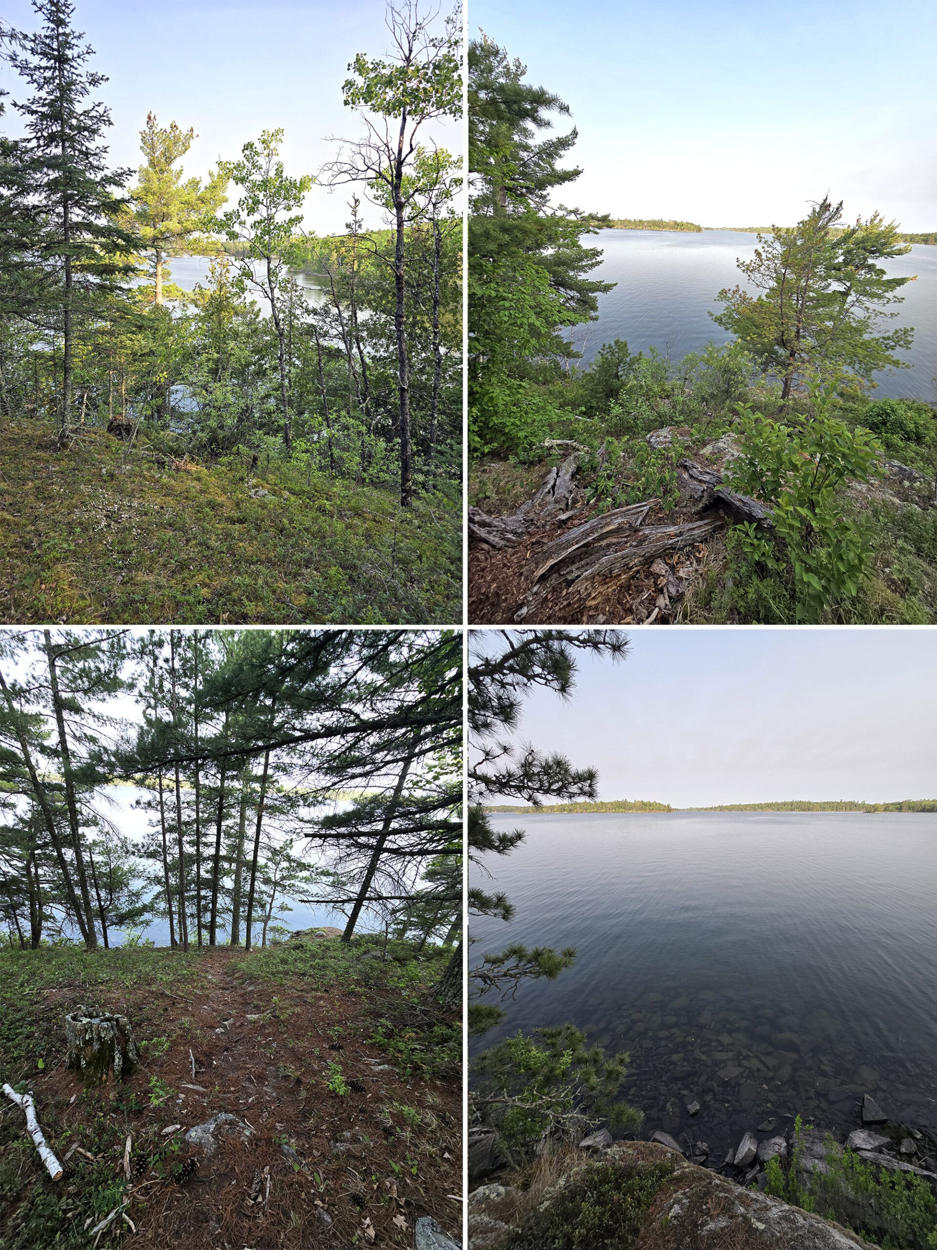 4 part image showing various views along the Lookout Trail at Sioux Narrows Provincial Park.